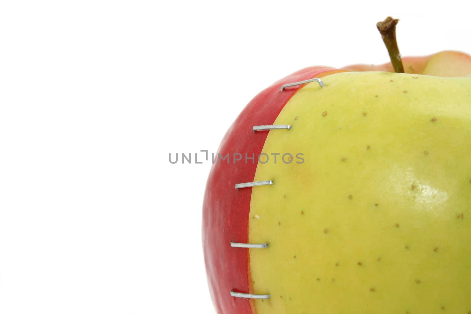 a red and a green apple stapled together