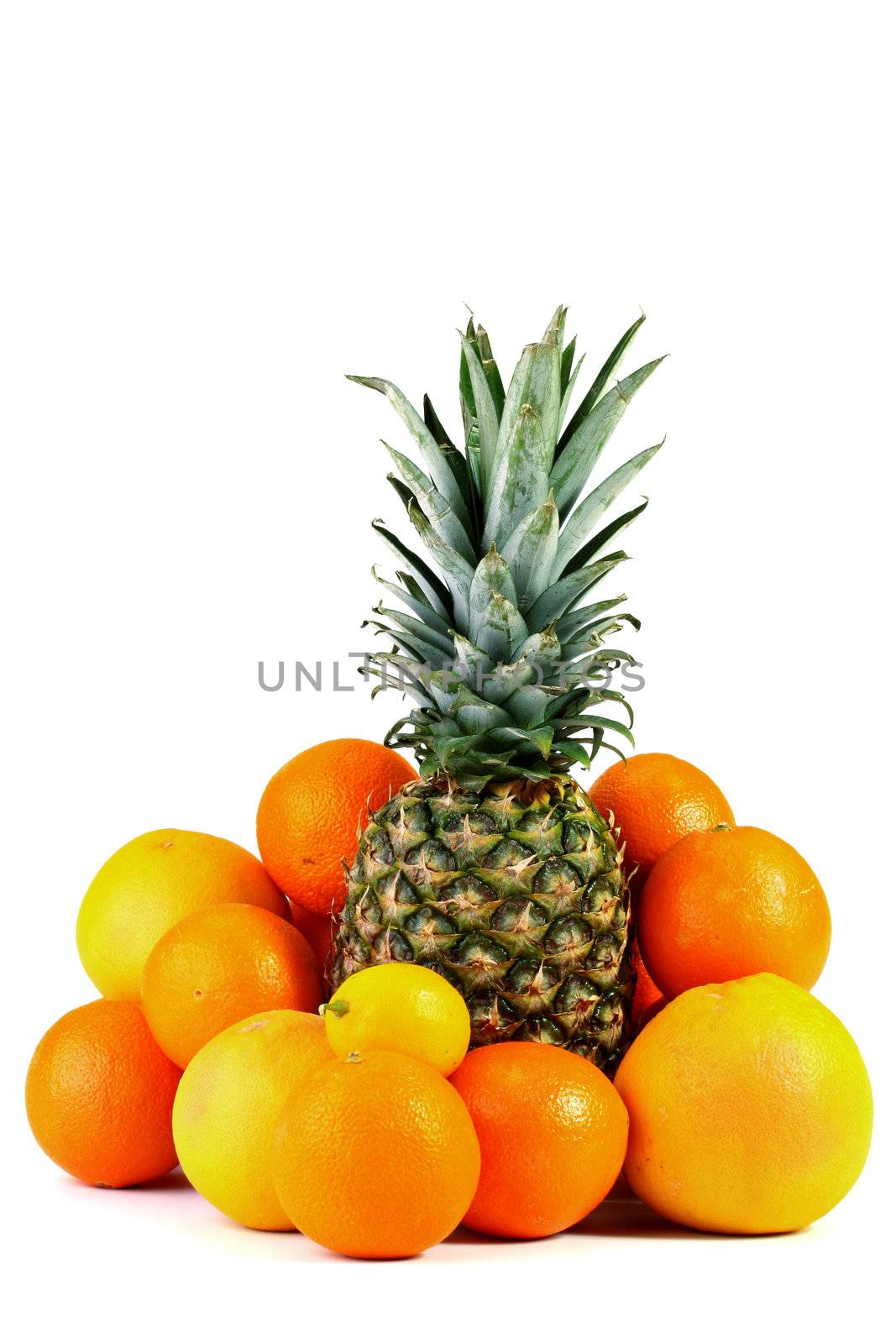 Pineapple with a lemon, oranges and grapefruits.