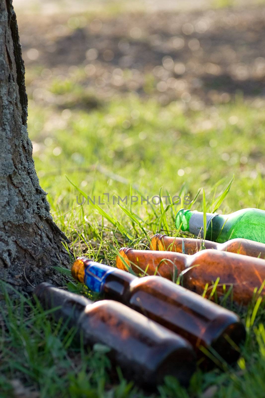 A lineup of beer bottles left on the grass, up against a tree.