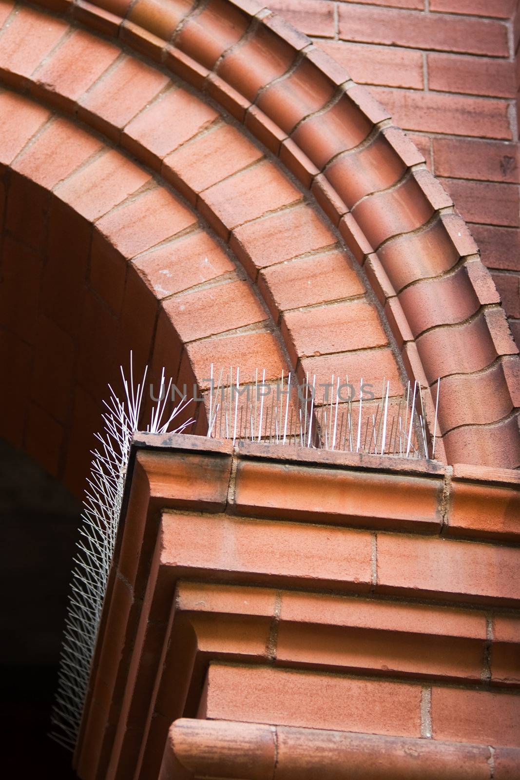The corner of an arch entranceway, with focus on the spikes which prevent birds from perching near.