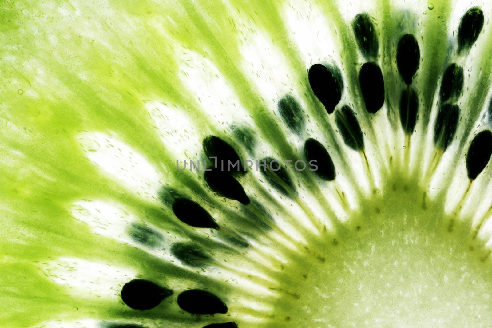 Kiwi Fruit by thorsten