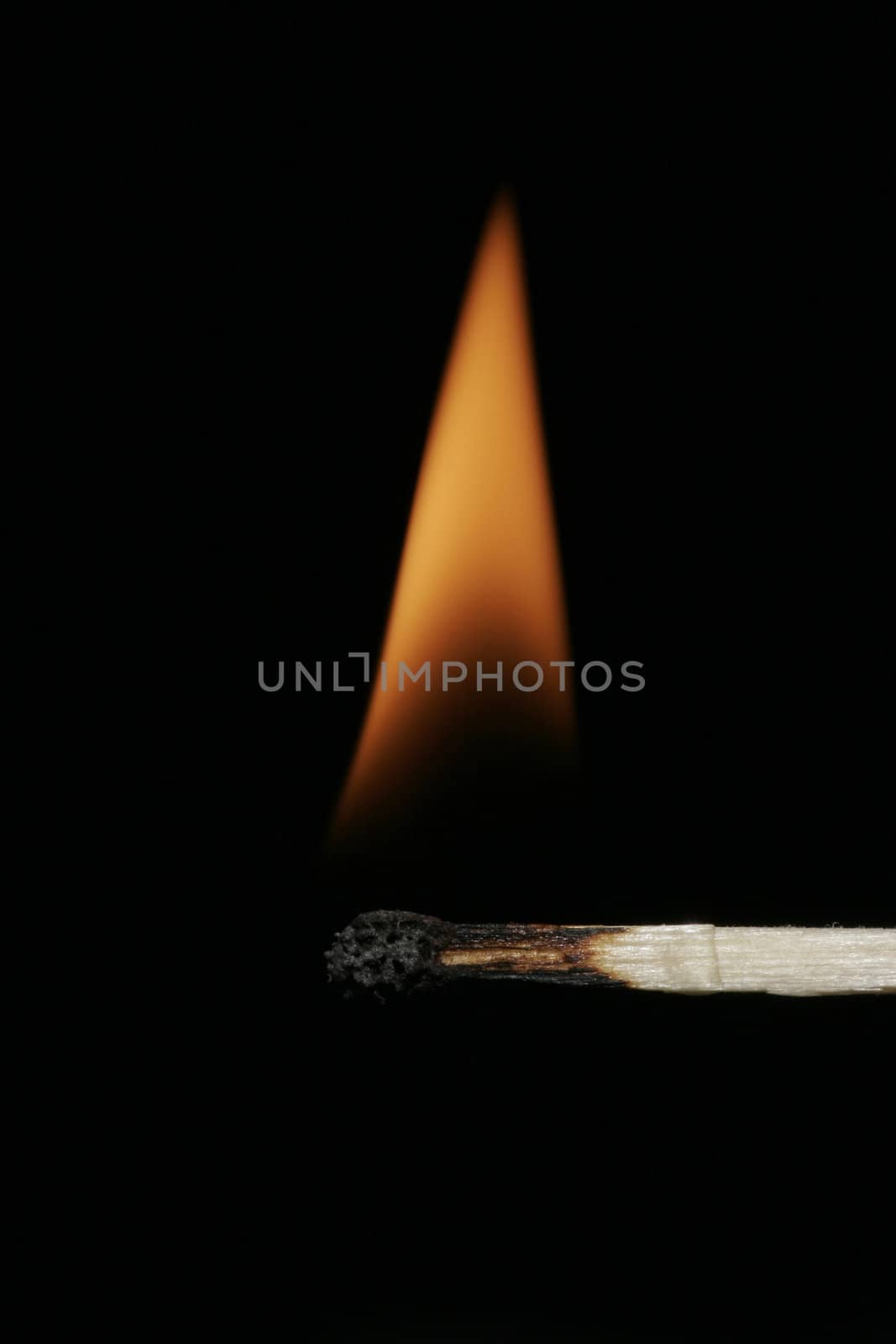 Burning Flame On A Single Matchstick On A Black Background