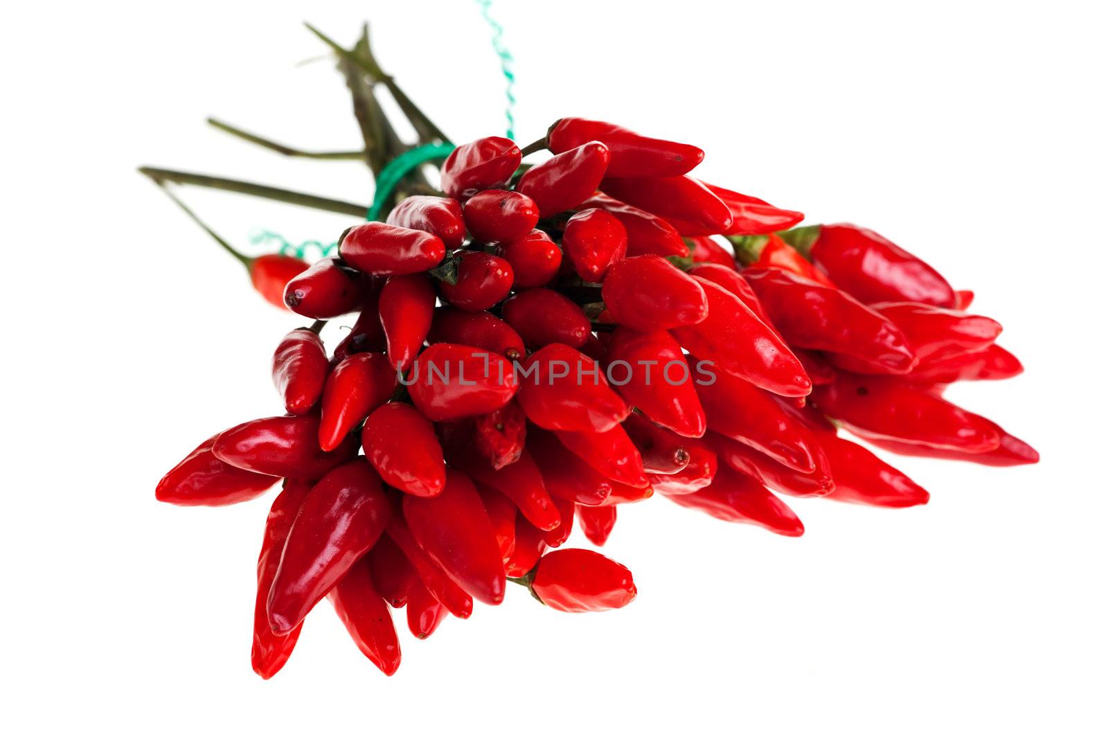 bunch of red chilis isolated on white background