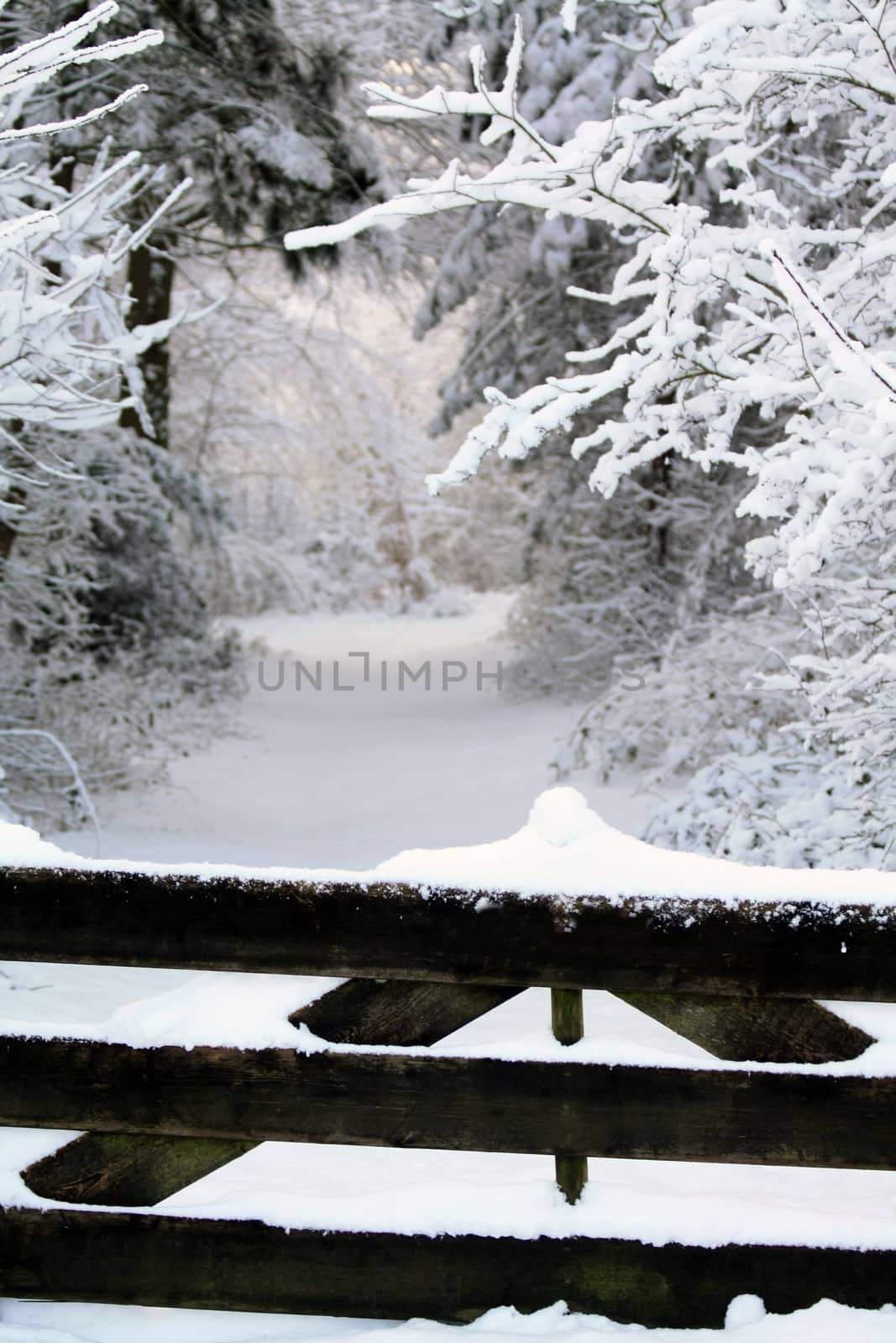 A snow covered wooden fence and a forest path