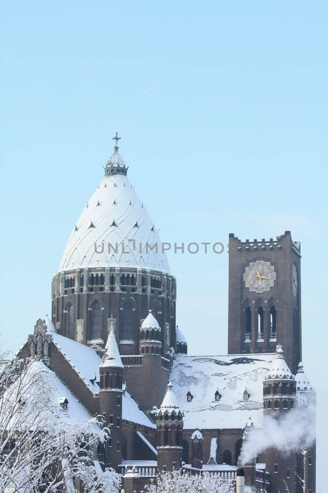 Saint Bavo Cathedral Haarlem by studioportosabbia