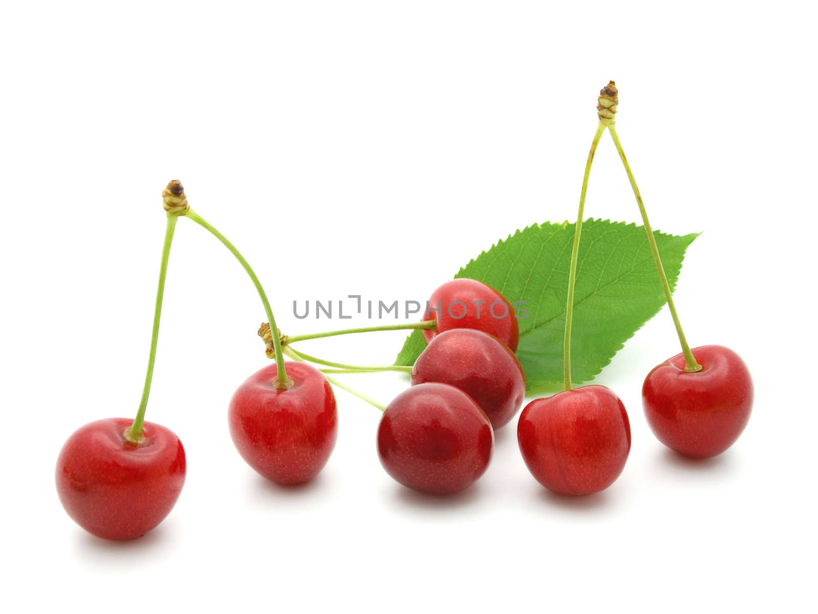sweet cherry with a green leaf on white background. 