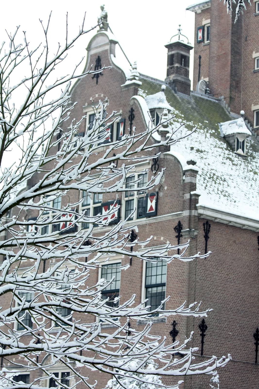 Detail of Duin and Kruidberg, Santpoort, Holland in the winter