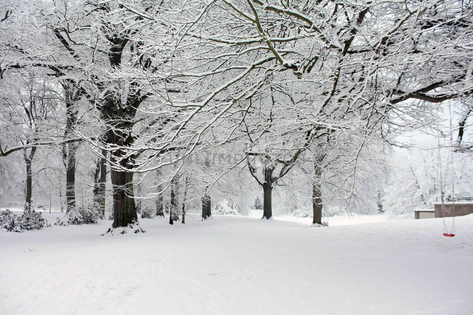 A snow covered path in a winter forest