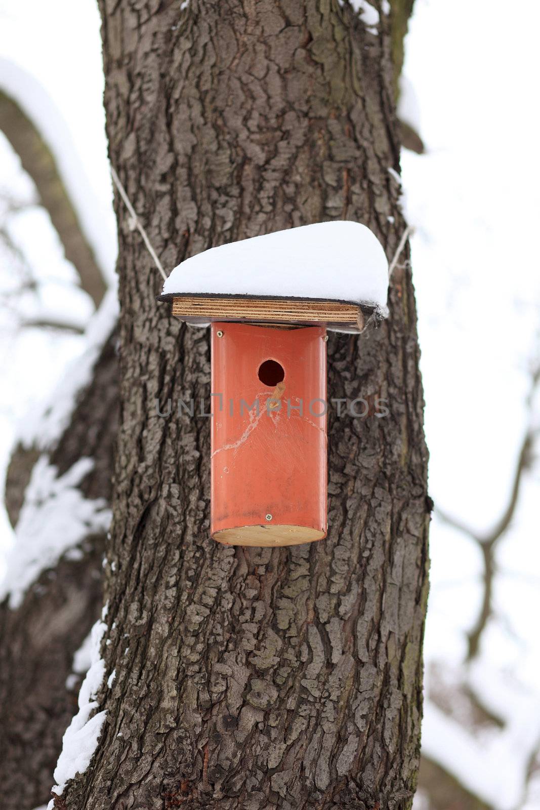 little red nesting box covered by snow