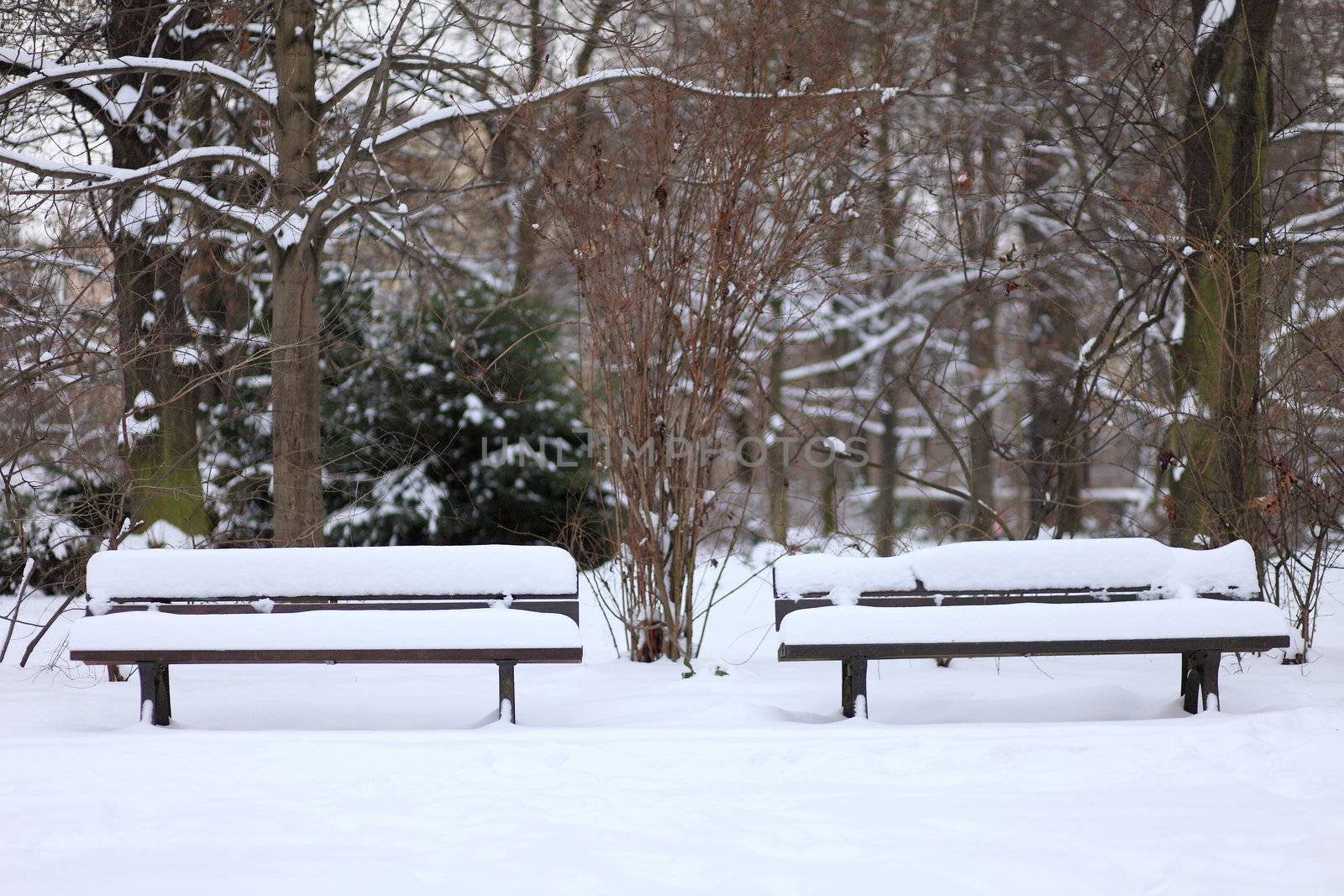 two lonely benches snow-covered in a park