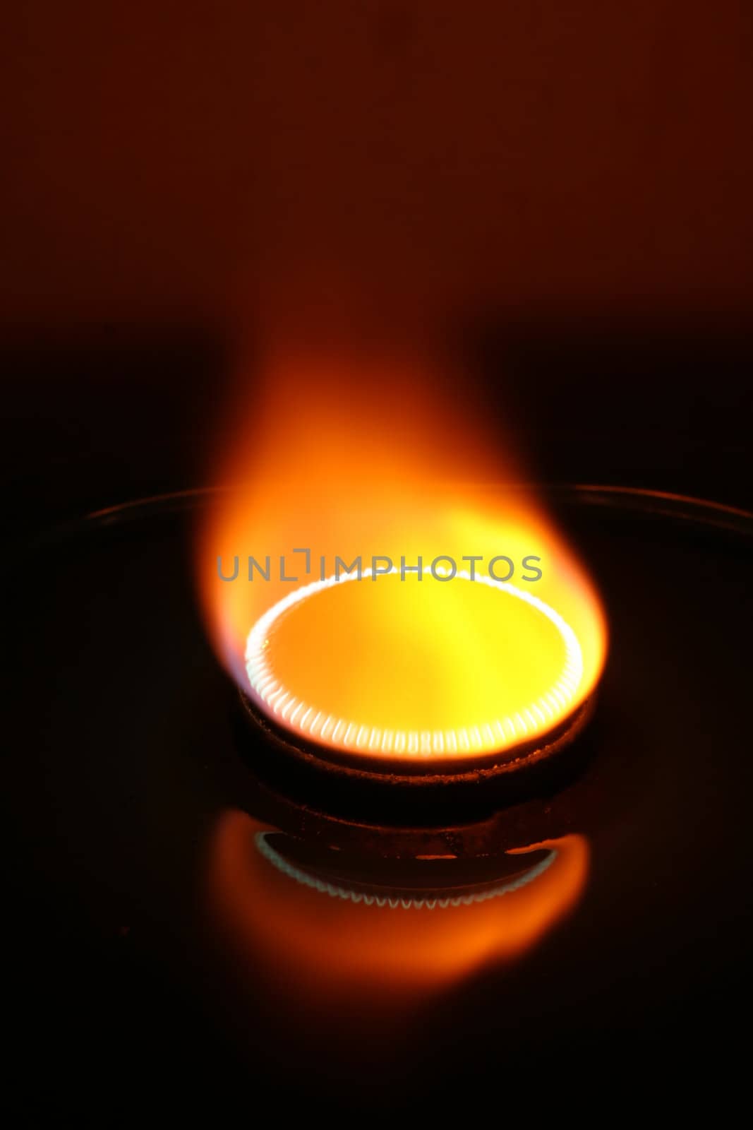 Gas stove