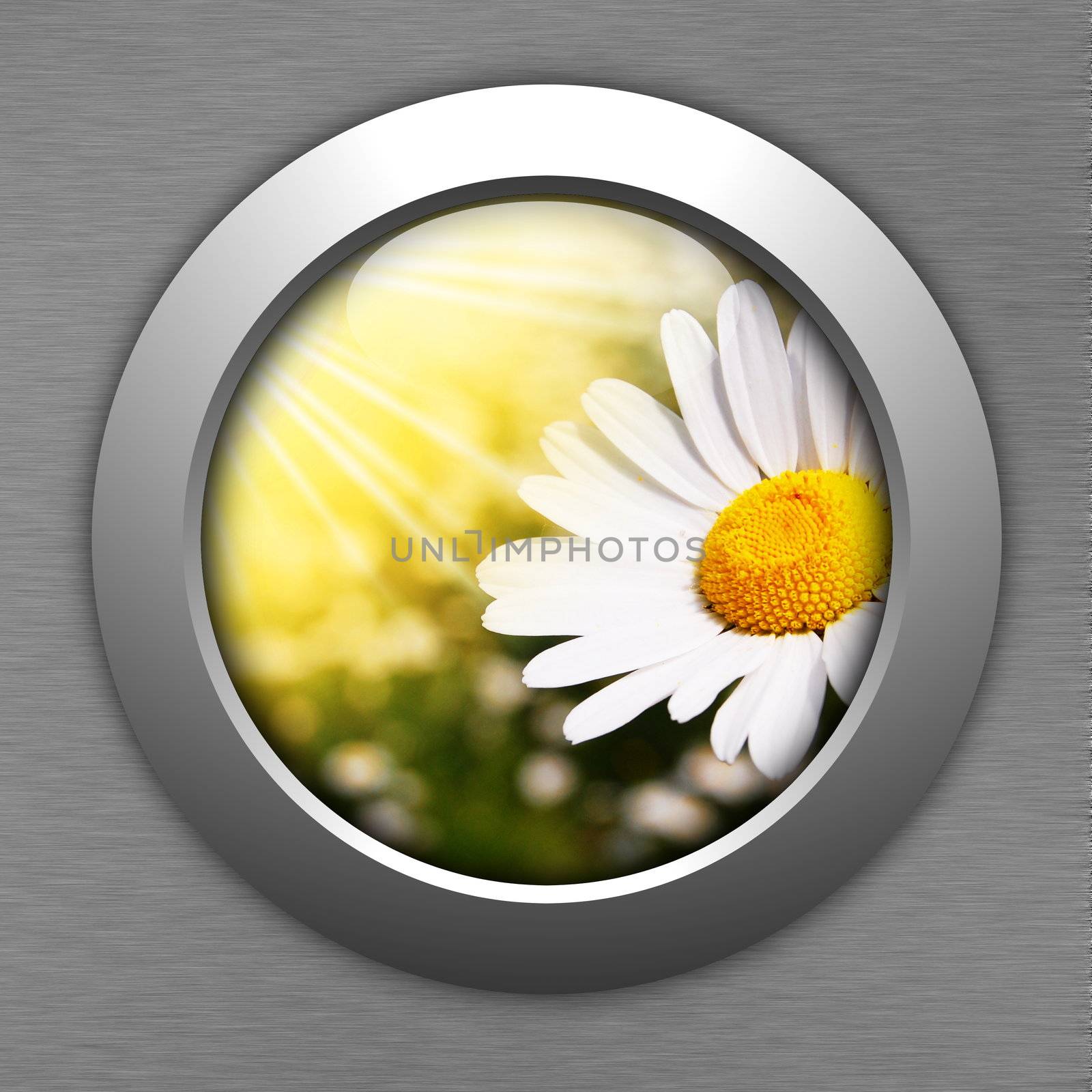 happy an lucky flower for internet page showing spring concept