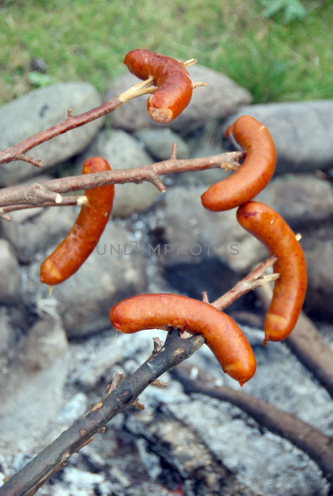  Sausage over Campfire