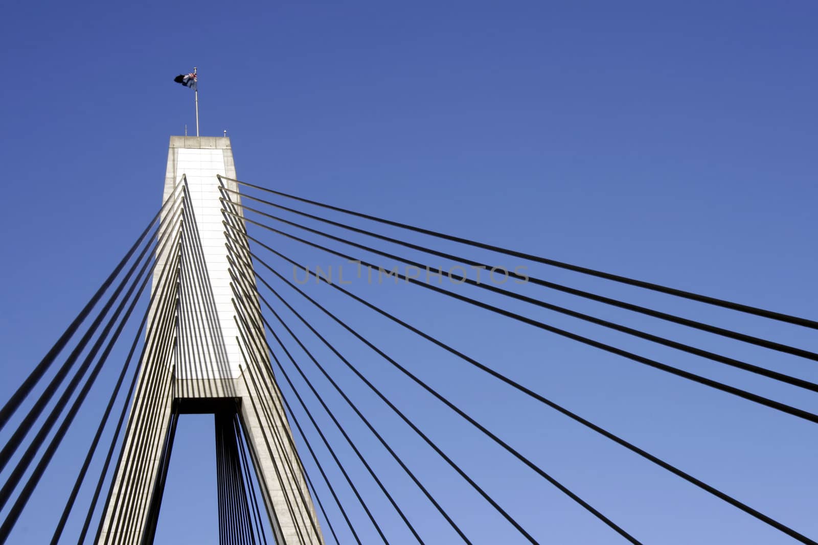 Anzac Bridge, Sydney, Australia: ANZAC Bridge is the longest cable-stayed bridge in Australia, and amongst the longest in the world.