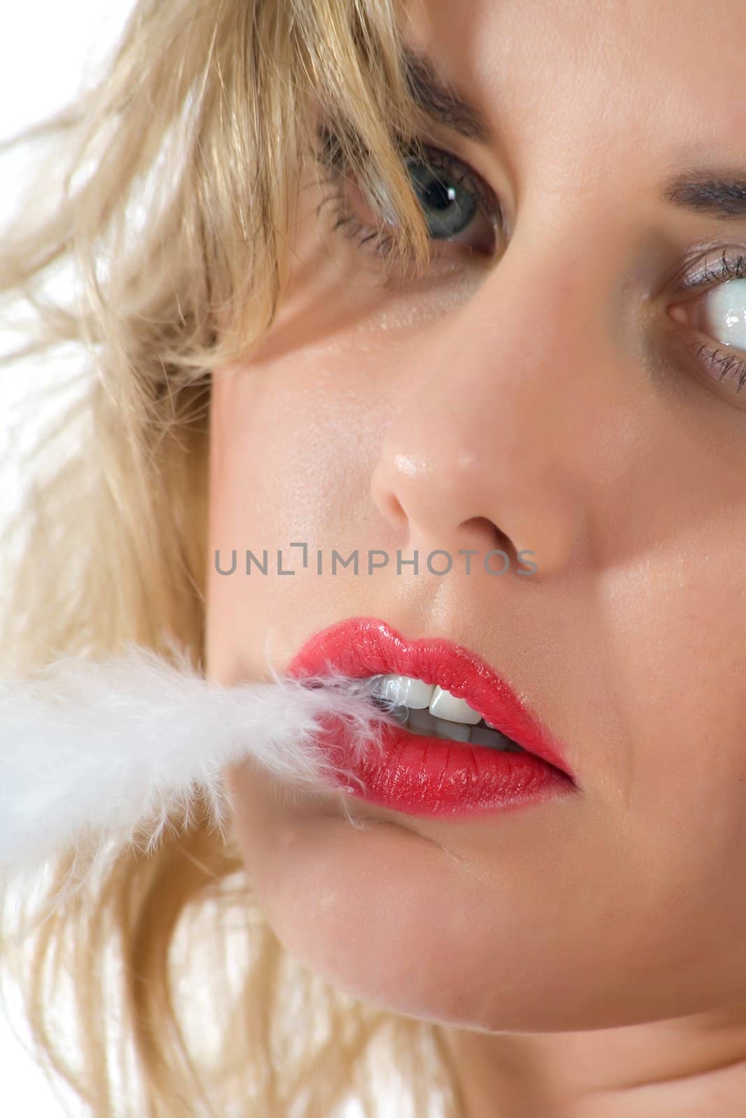 portrait of the brunette with plume on white