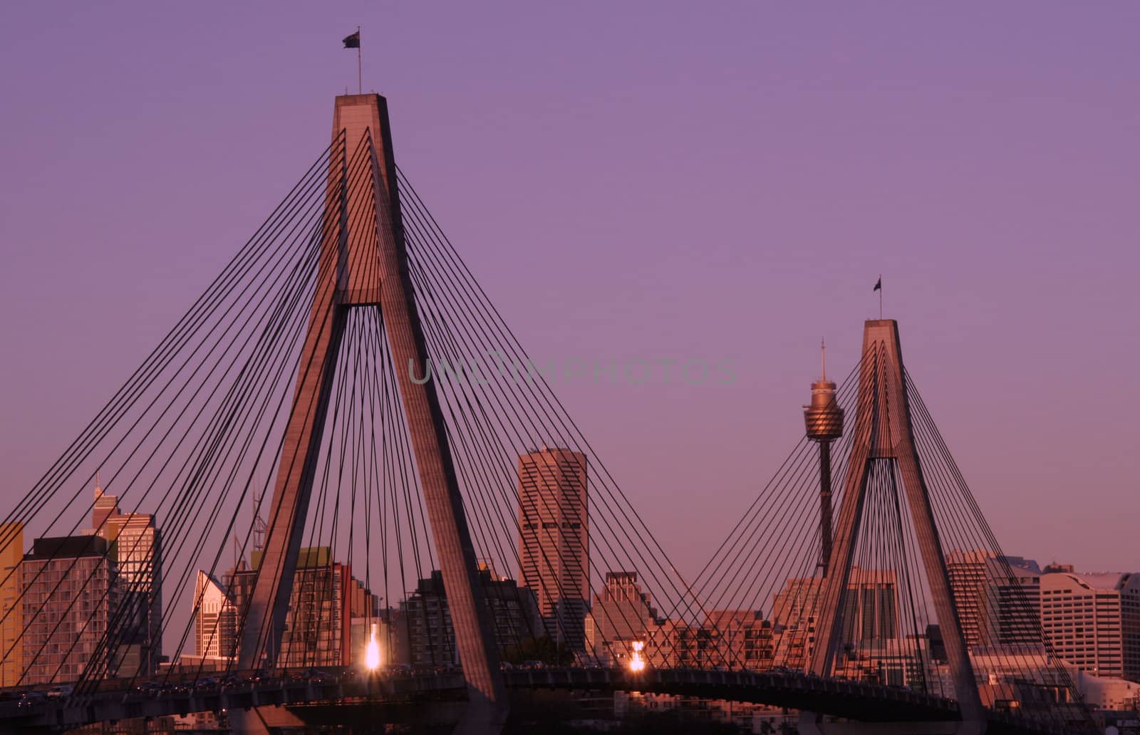 Anzac Bridge In Evening Light by thorsten