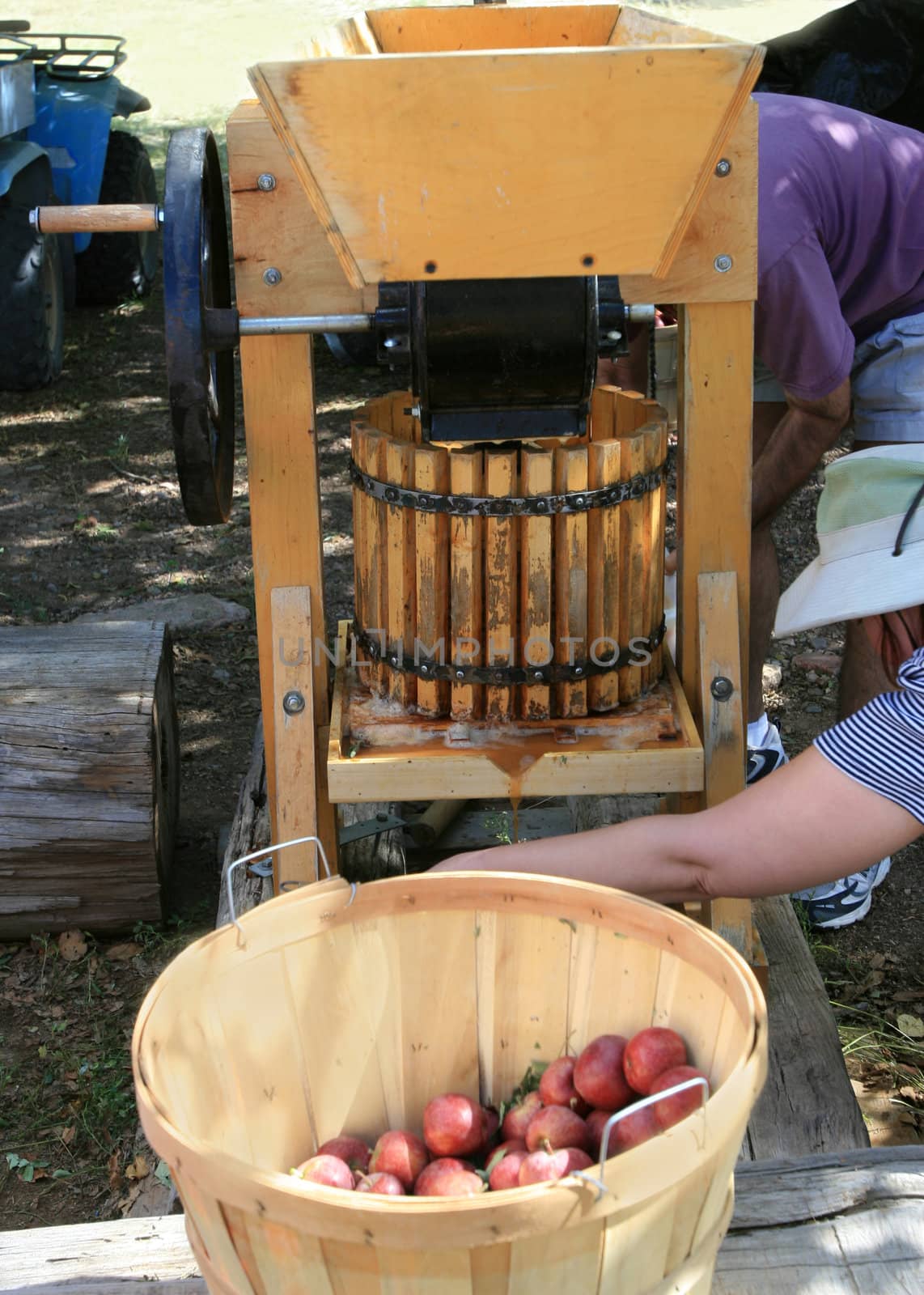 Vintage cider press juices apples in preparation for making apple cider.