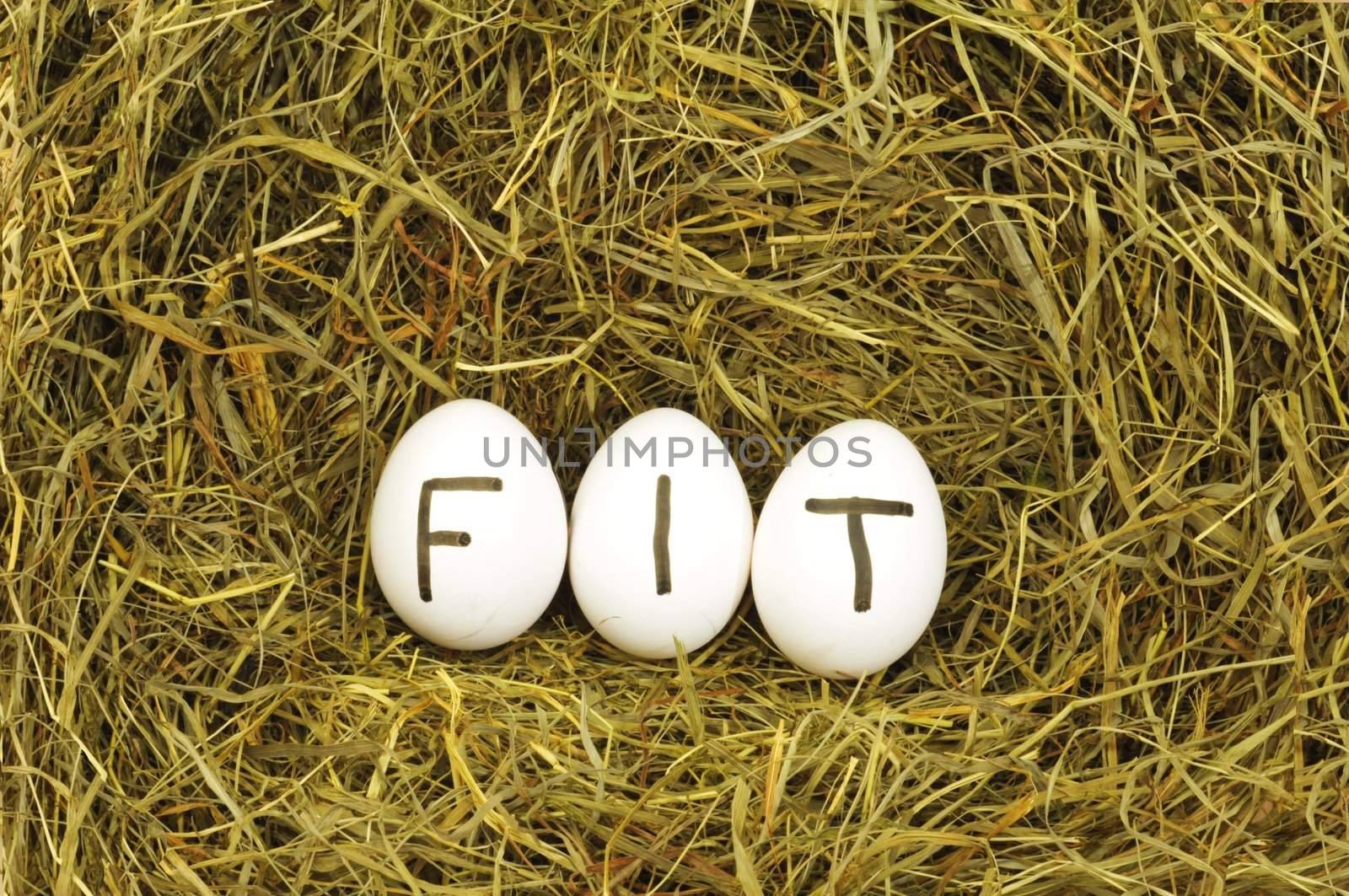 fit or healthy lifestyle concept with eggs on hey or straw