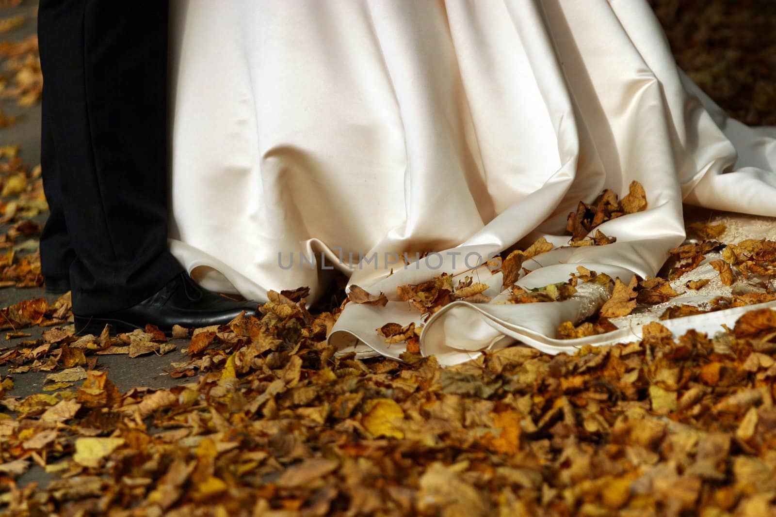 The image of legs of the bride and the groom, on a hem of a atlas dress yellow foliage