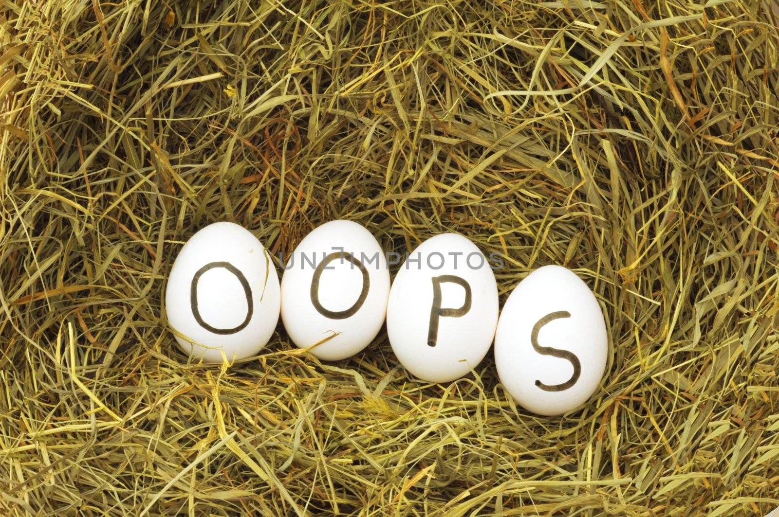 oops concept with eggs on hey or straw