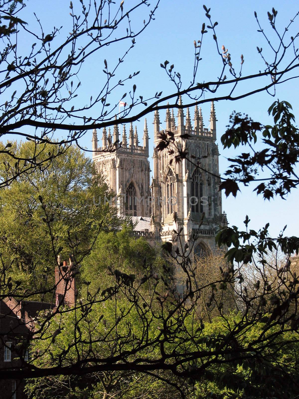 The cathedral of York seen from the city walls by mizio1970