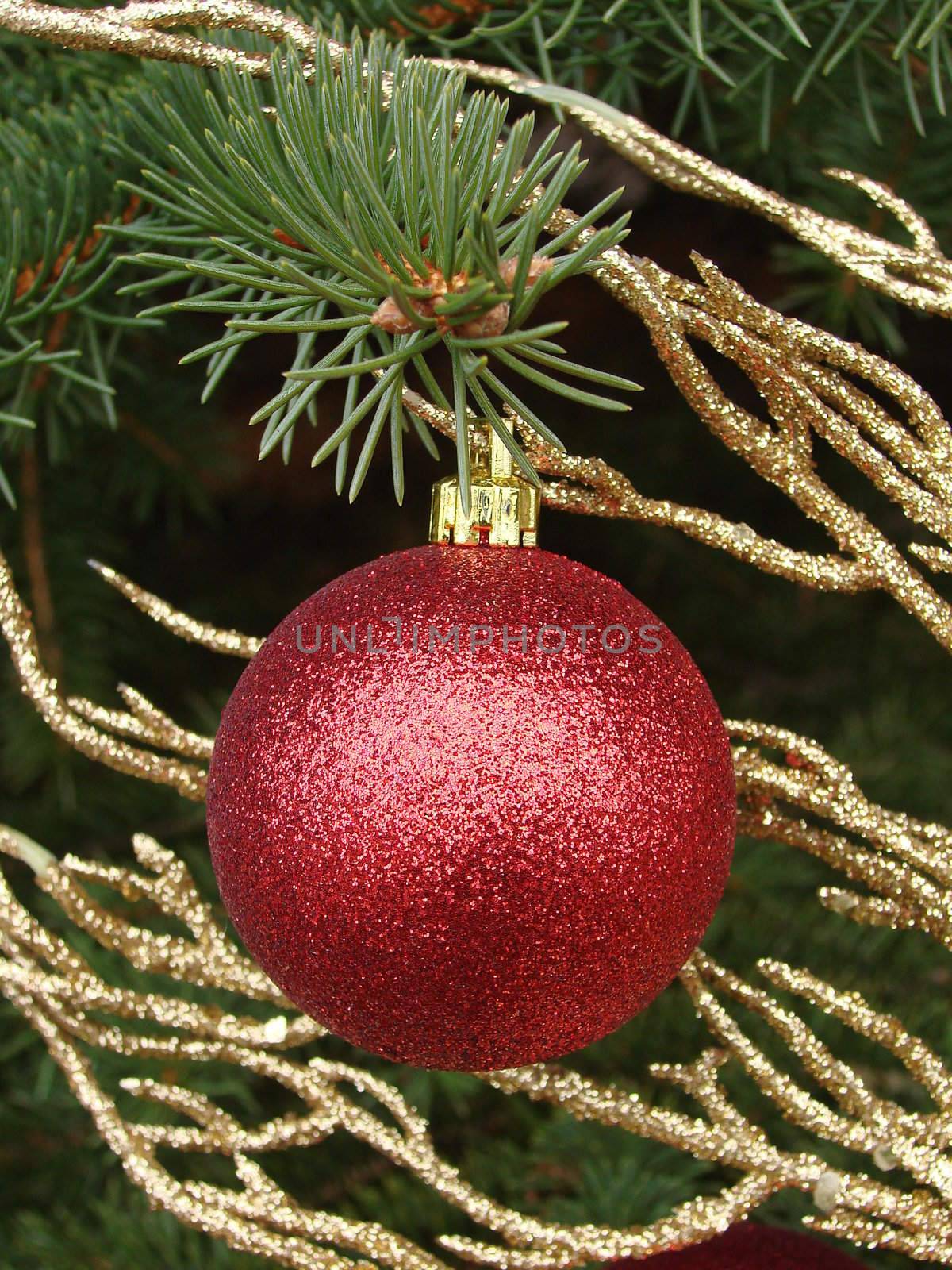 Red glitter covered ornament hanging on pine branch with gold twigs behind int