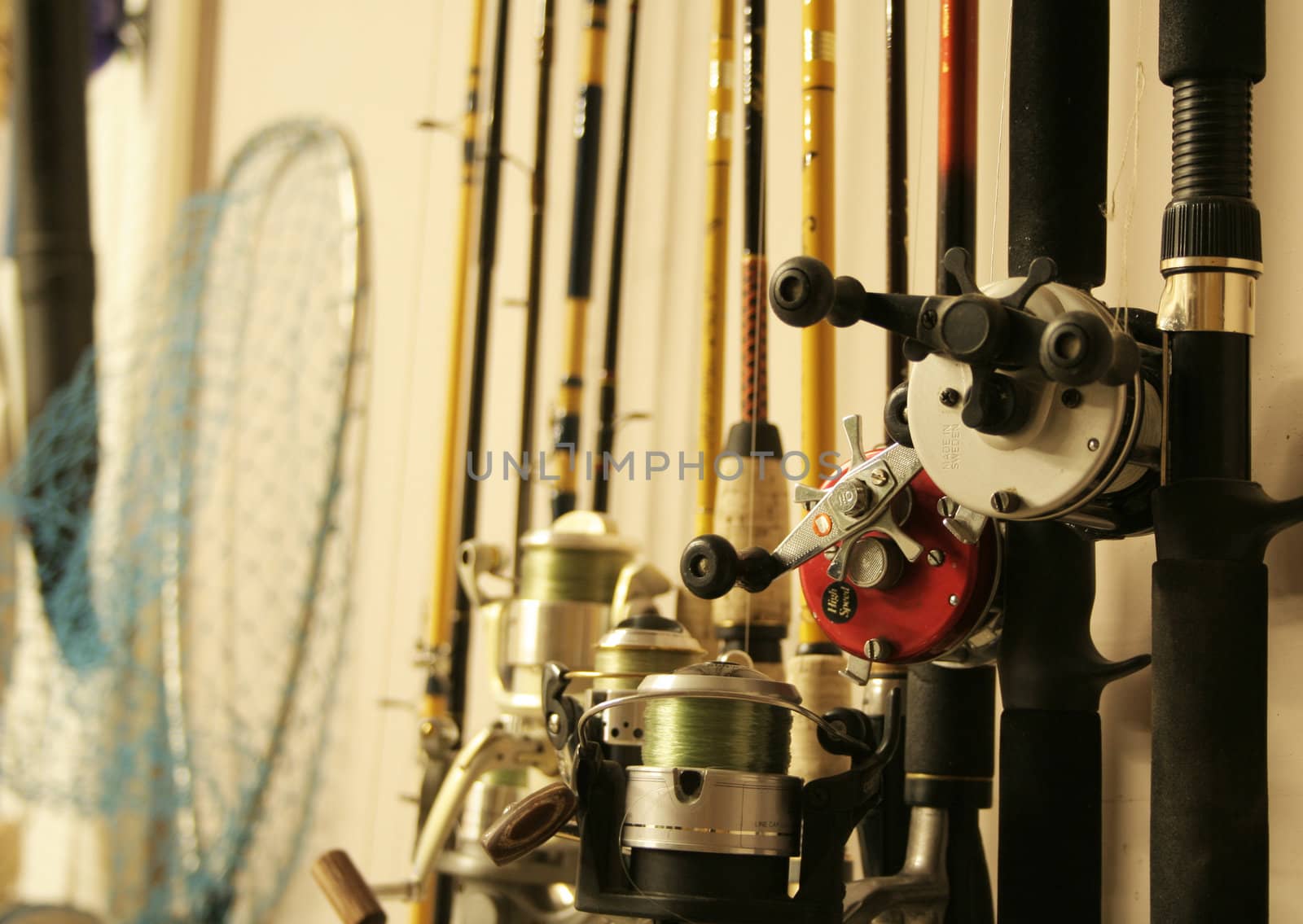 Fishing rods on holder in garage
