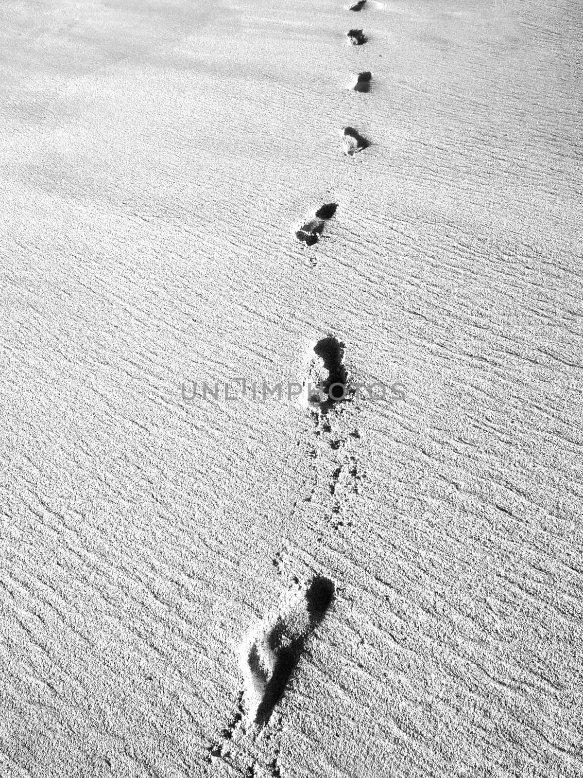 Human footprints in some nice warm beach sand.  