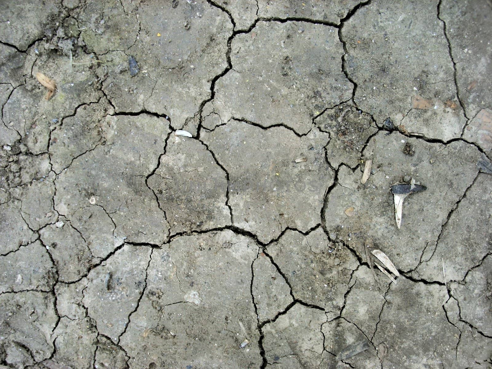 Dry soil by DOODNICK