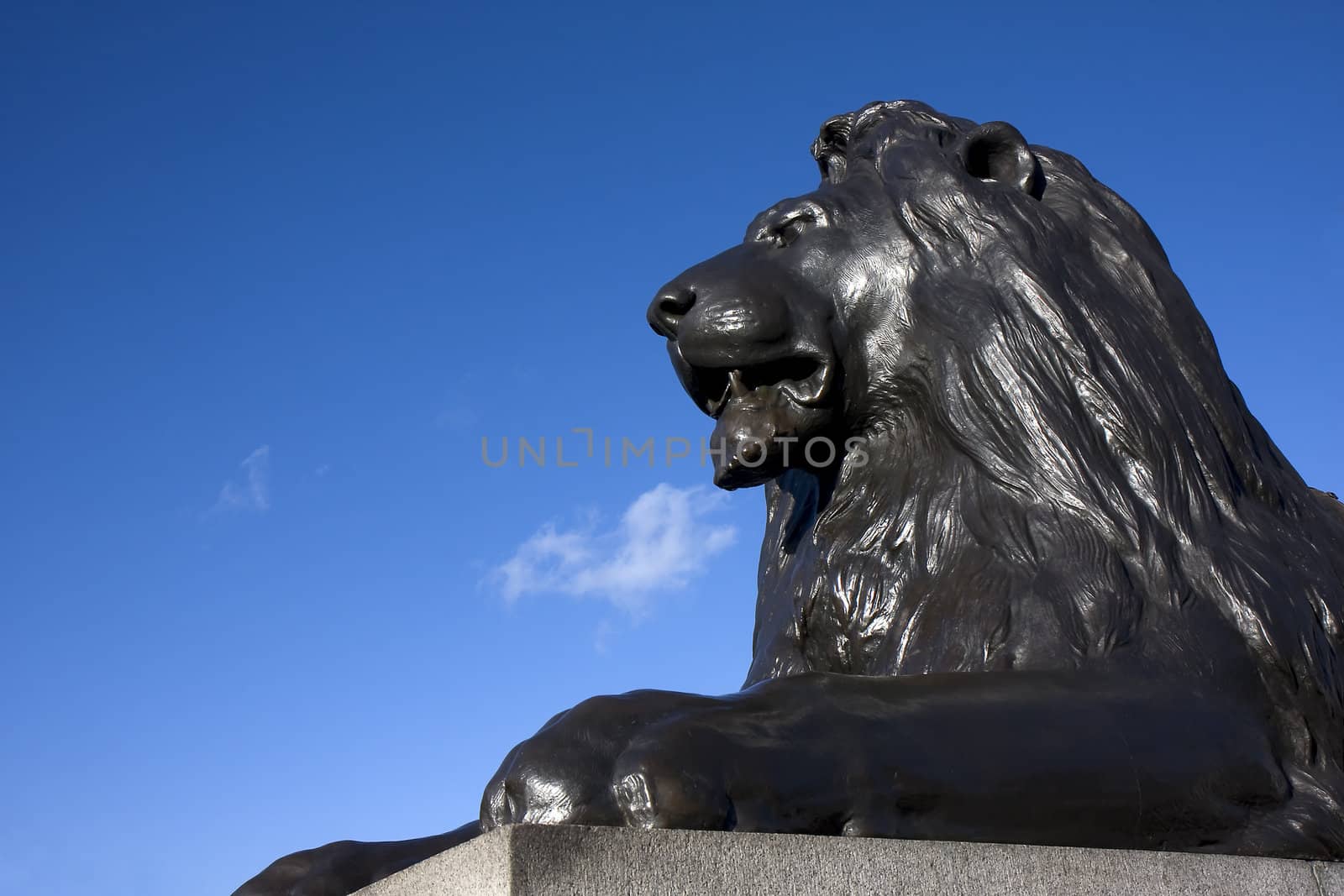 Close up of one of the bronze lions at Trafalgar Square, London, England.