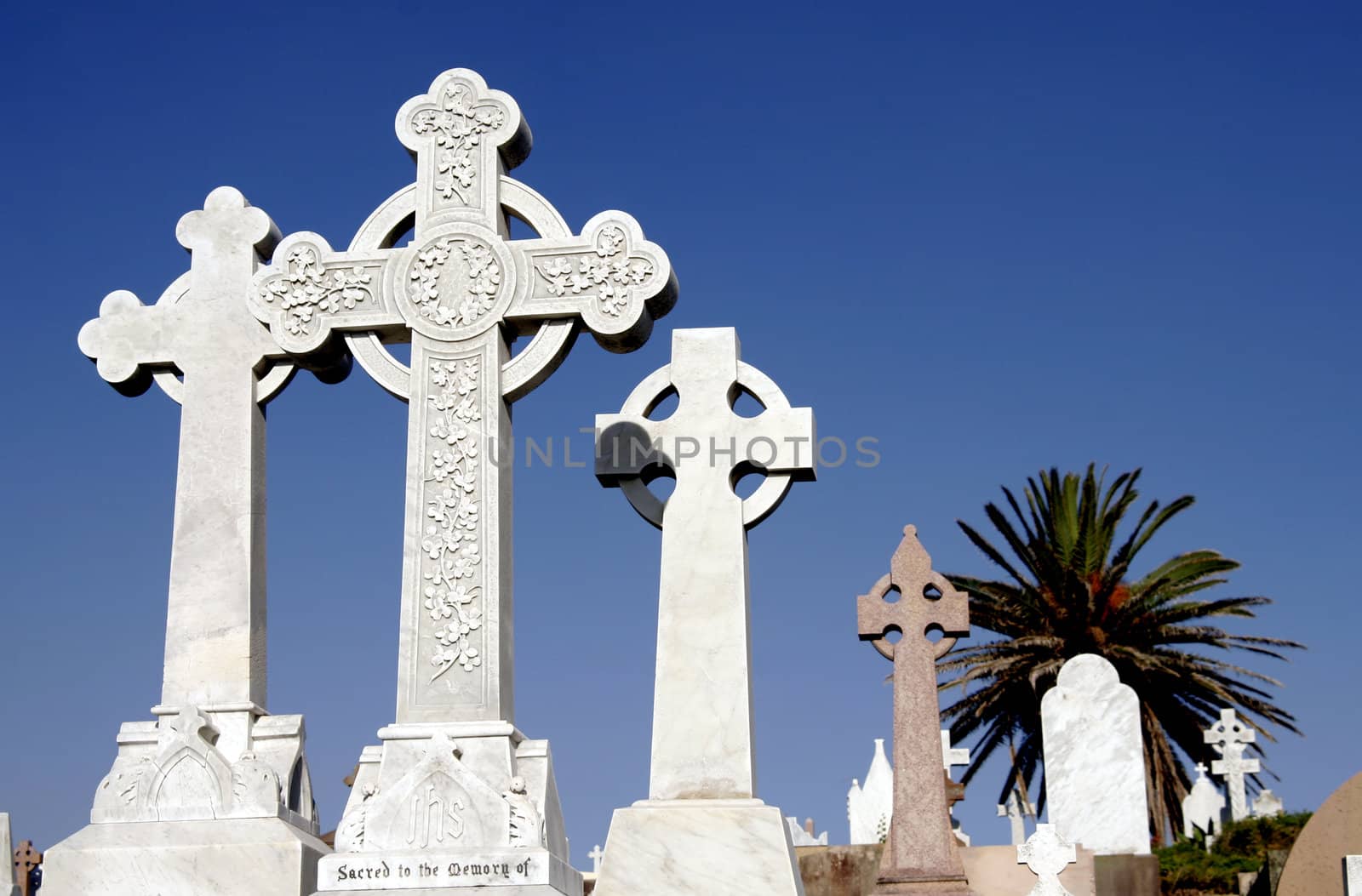 Old Large Cemetery With Many Graves and Gravestones During Daylight In Sydney Australia