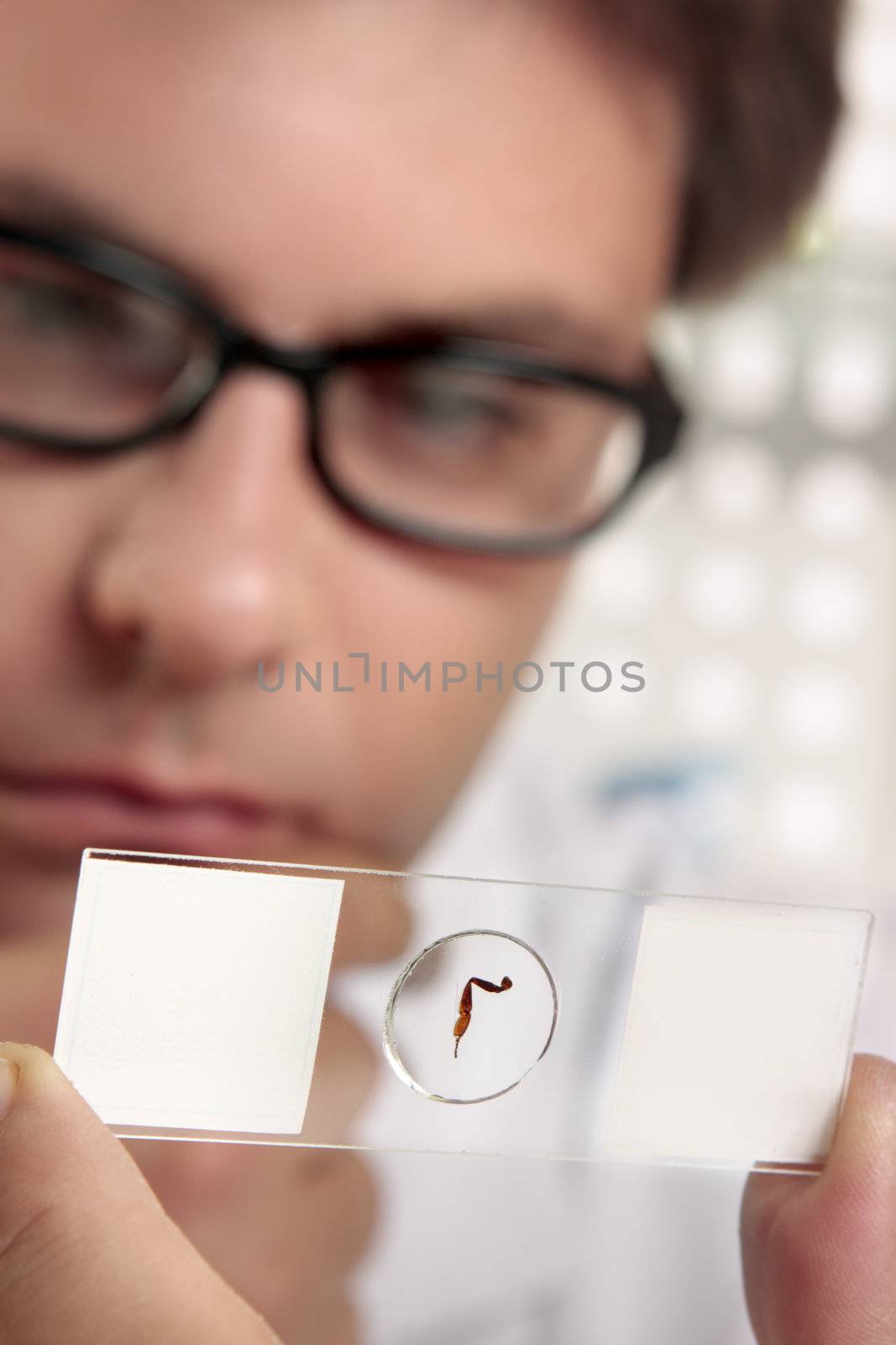 A scientist holding up a prepared slide