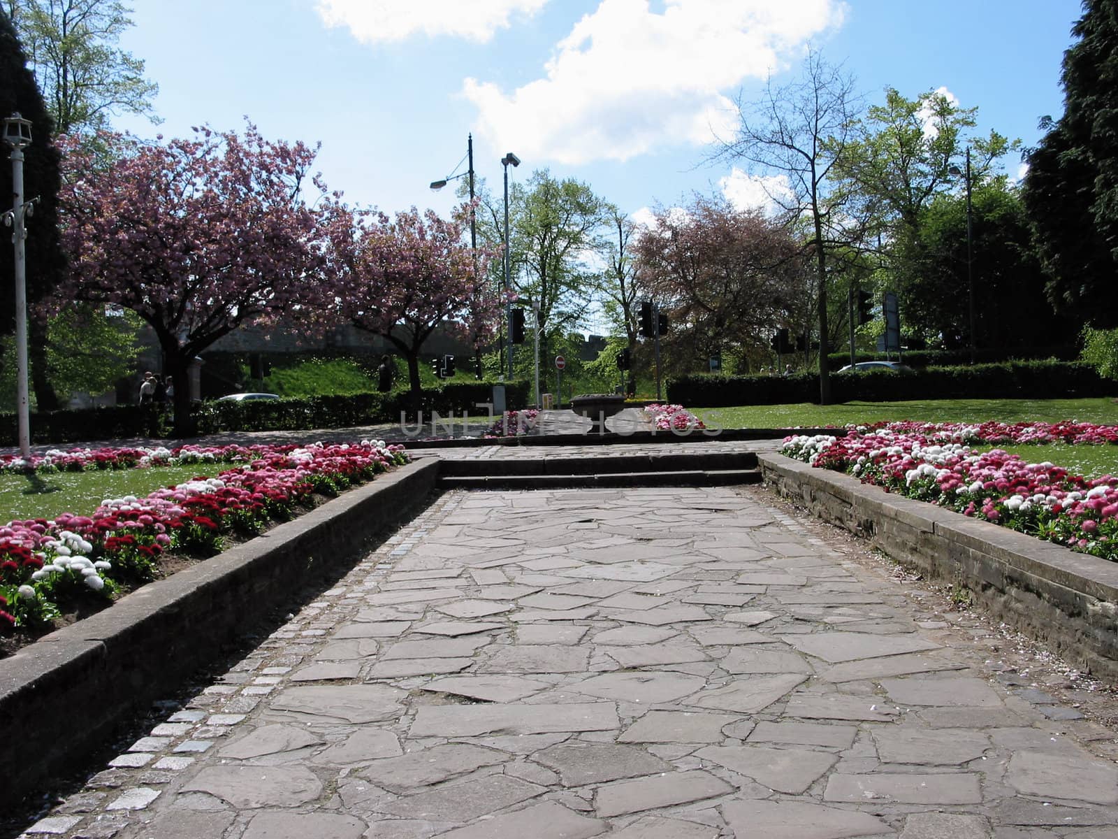 Gardens in York by mizio1970