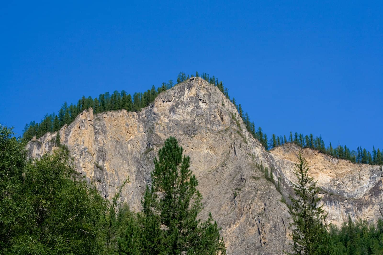 Mountain panorama: sky, rock and forest 
