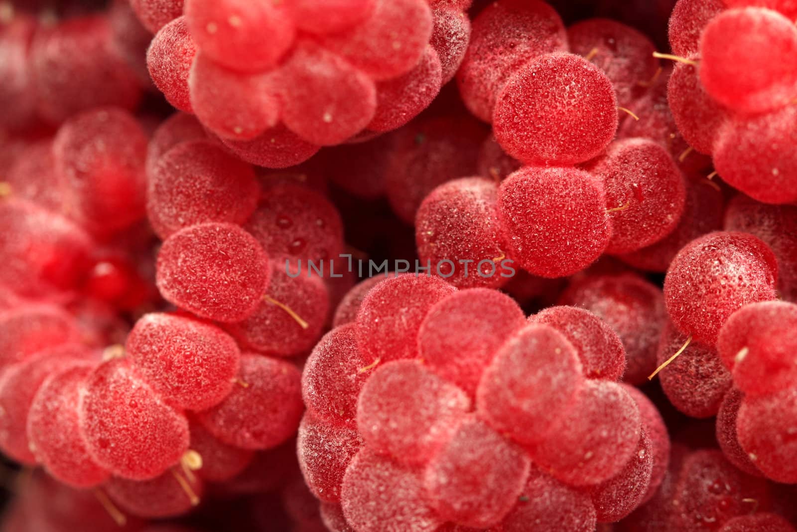 Fresh juicy raspberry, background