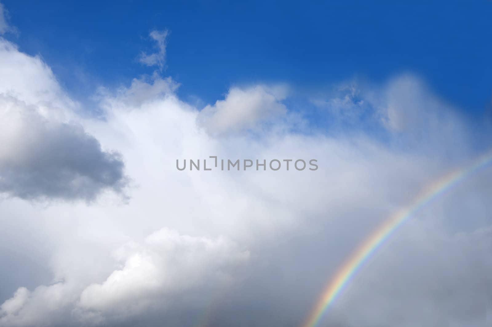 rainbows  by carla720