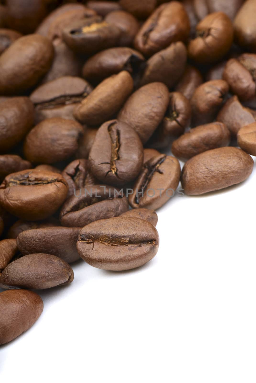 Coffee beans on white background. Macro