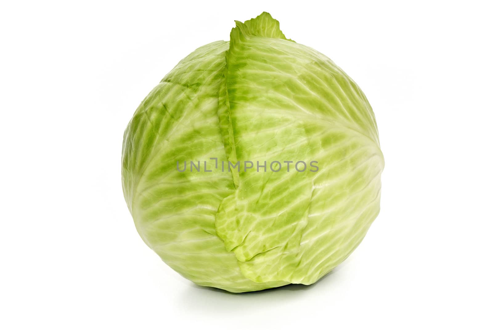 Cabbage by Kamensky