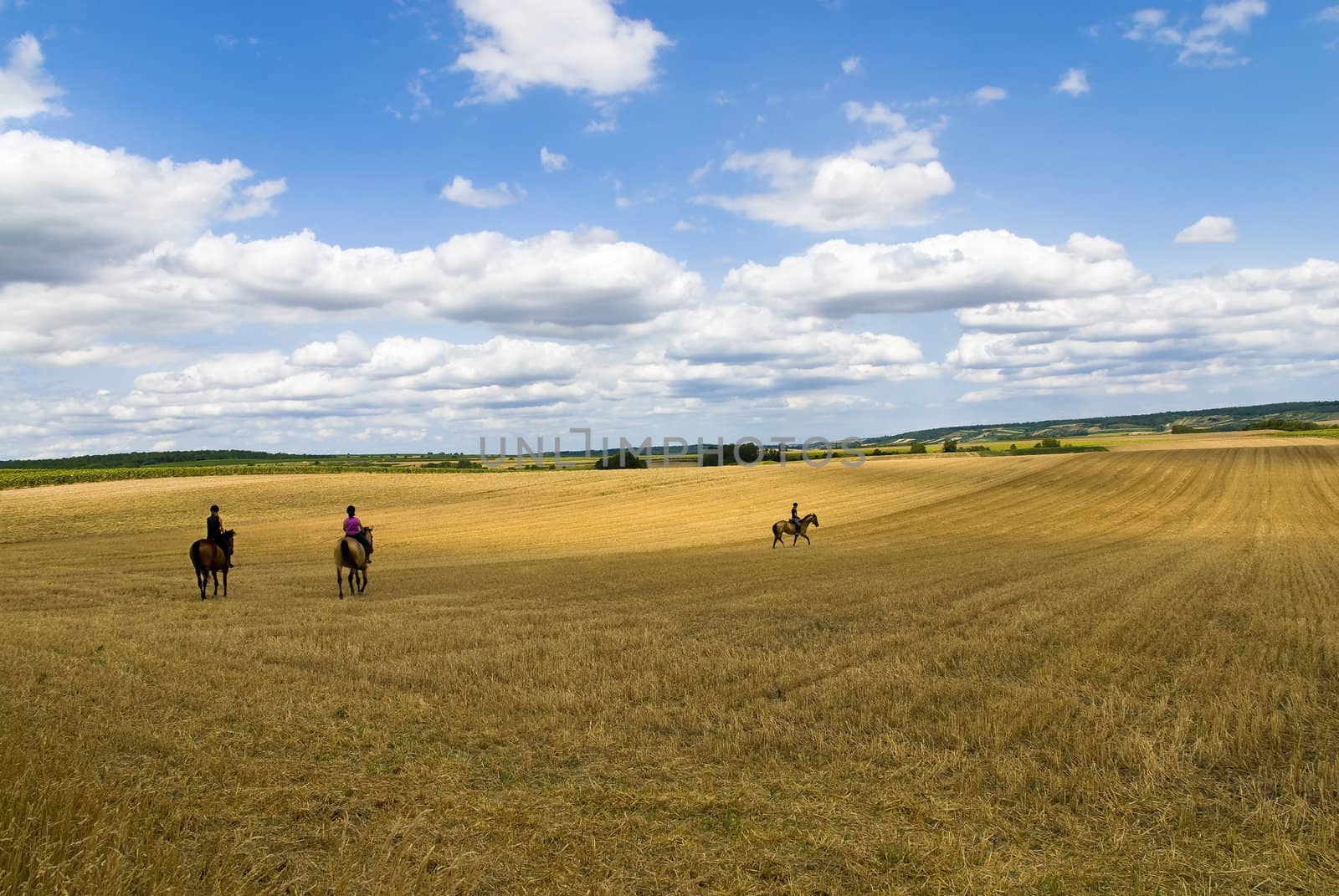 Wide angle photo: three girls riding their horses on a stubble field.