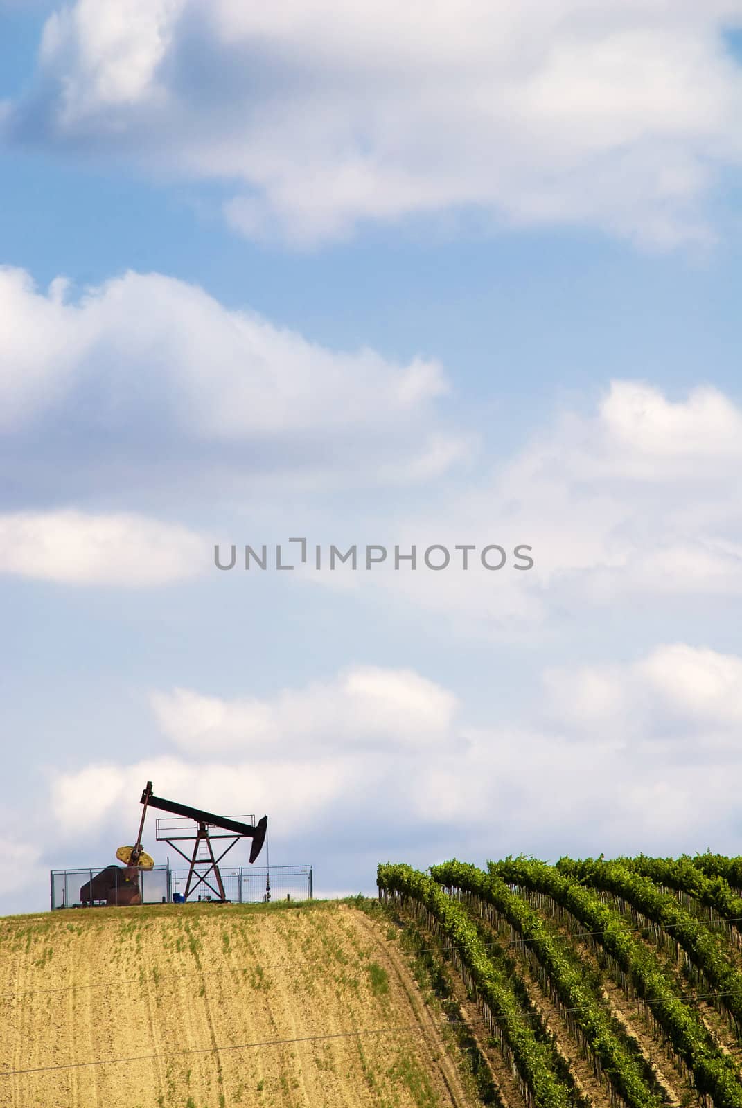 Oil pump by tuku