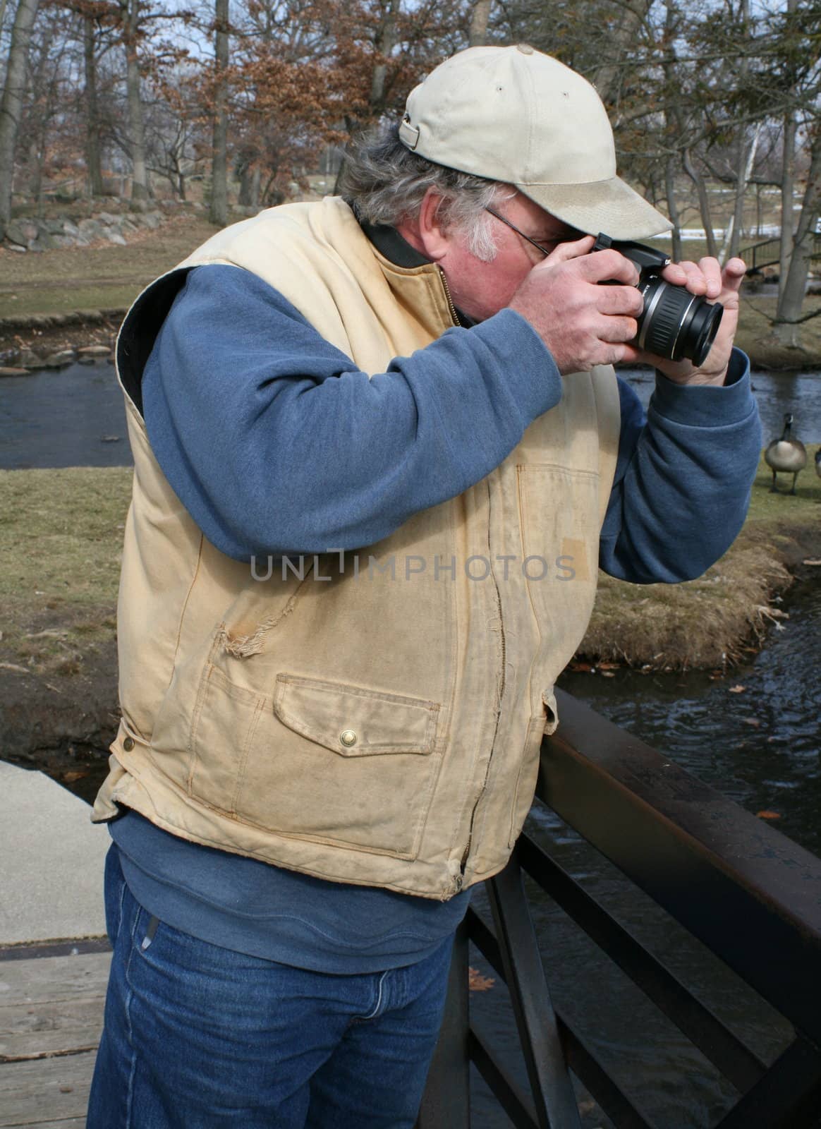 photographer shooting waterfowl, with geese in the background watching him