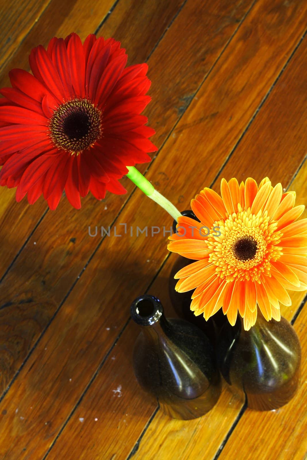 Red and Orange Flowers in Wine Bottles