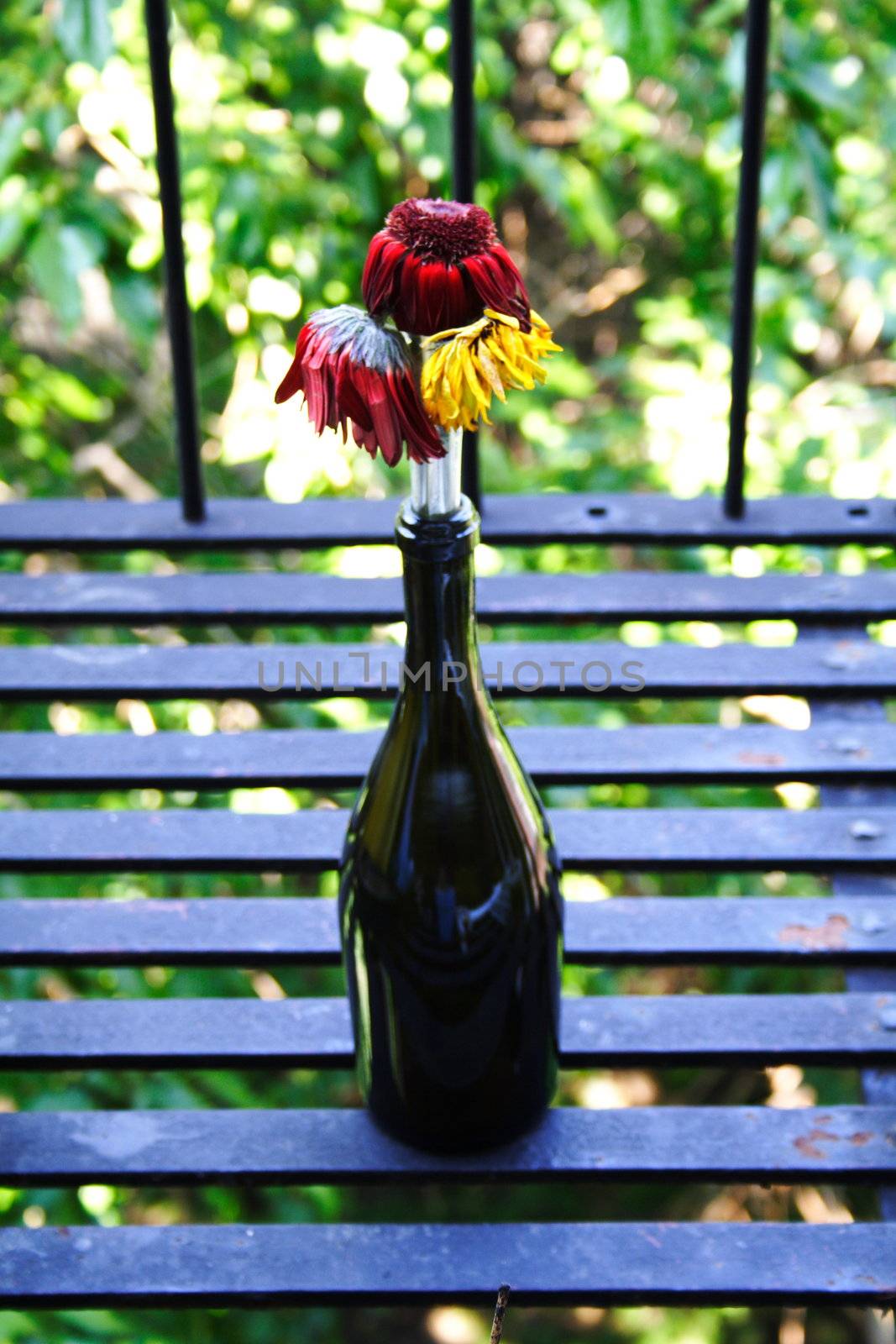 three dying flowers in a bottle outside.
