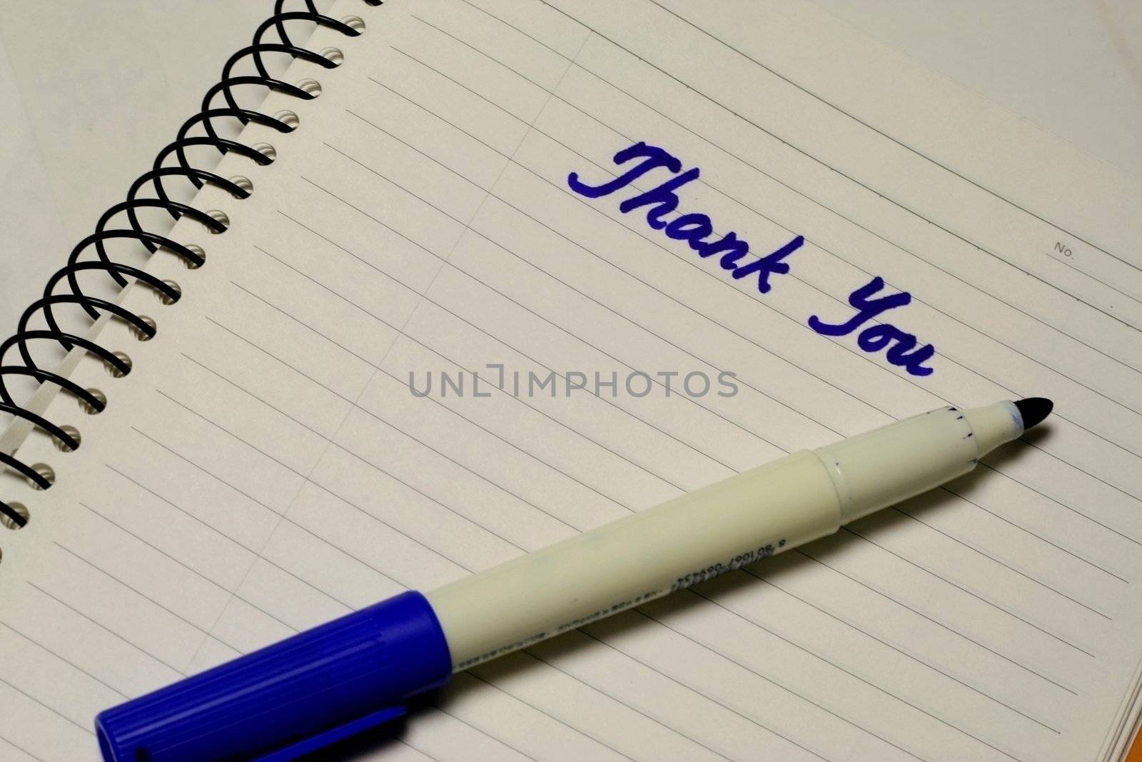 the word thank you written on paper with blue ink by a pentel pen
