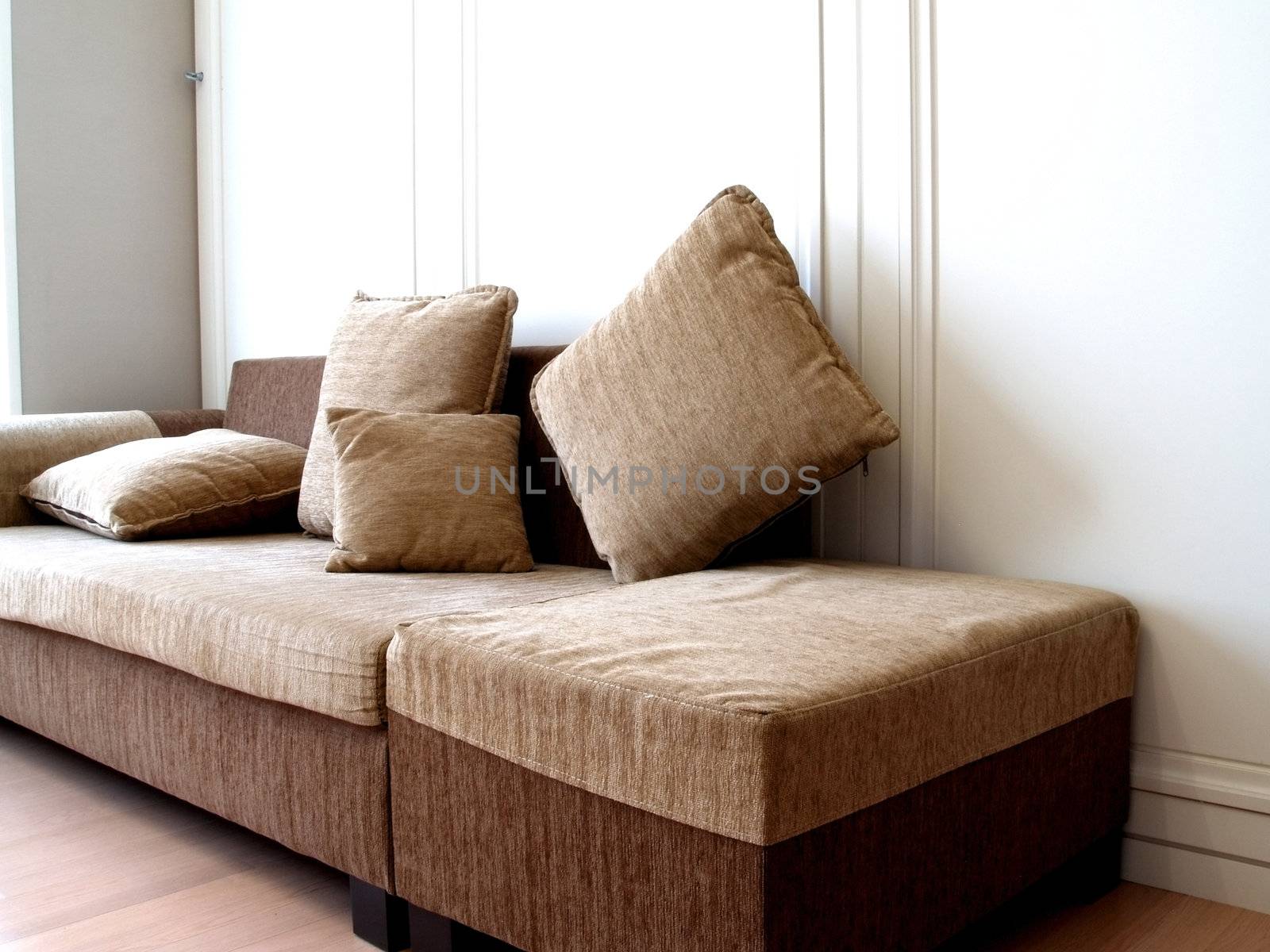 Cosy  brown Sofa in a living room   