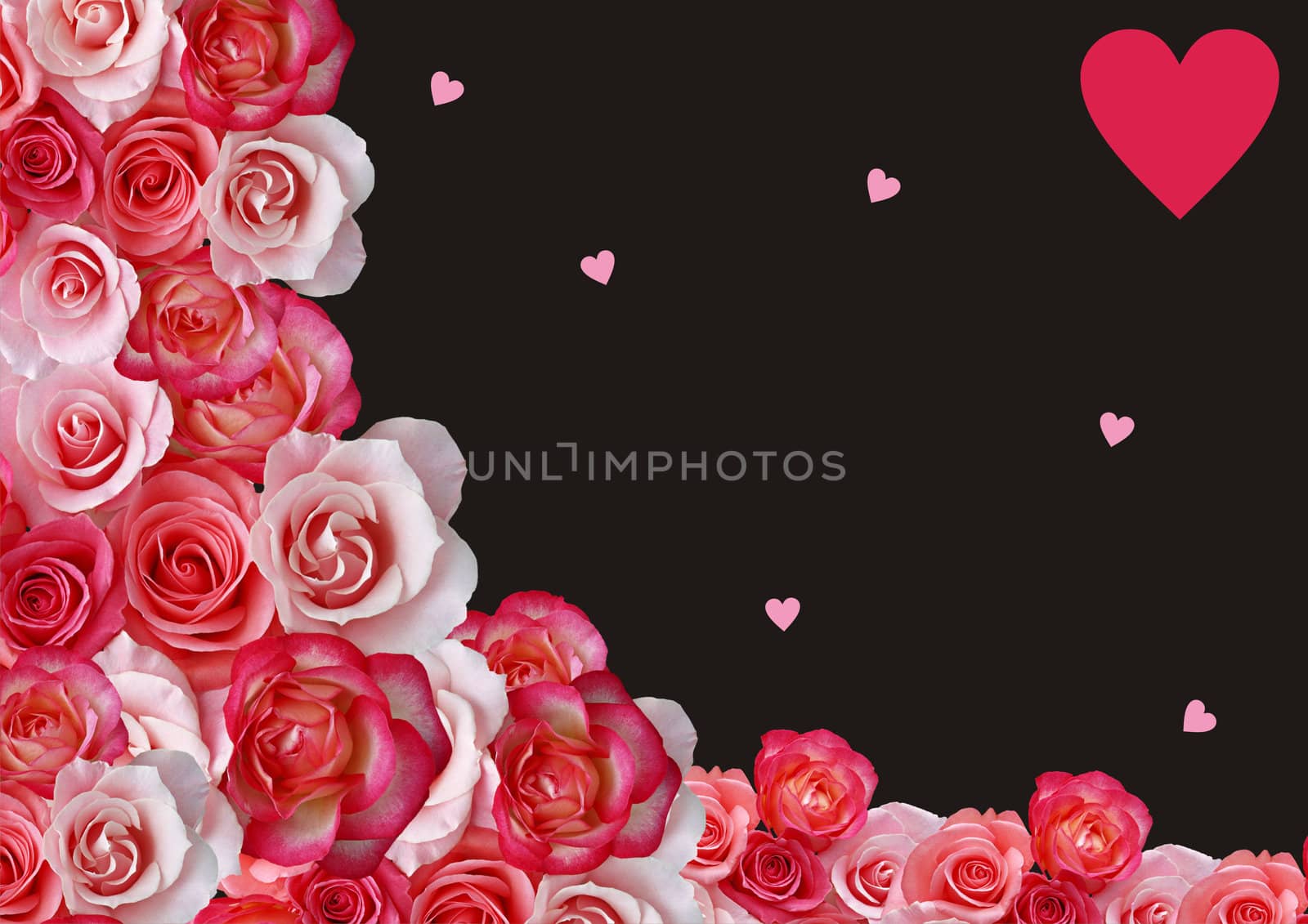 Border, roses, hearts, black background