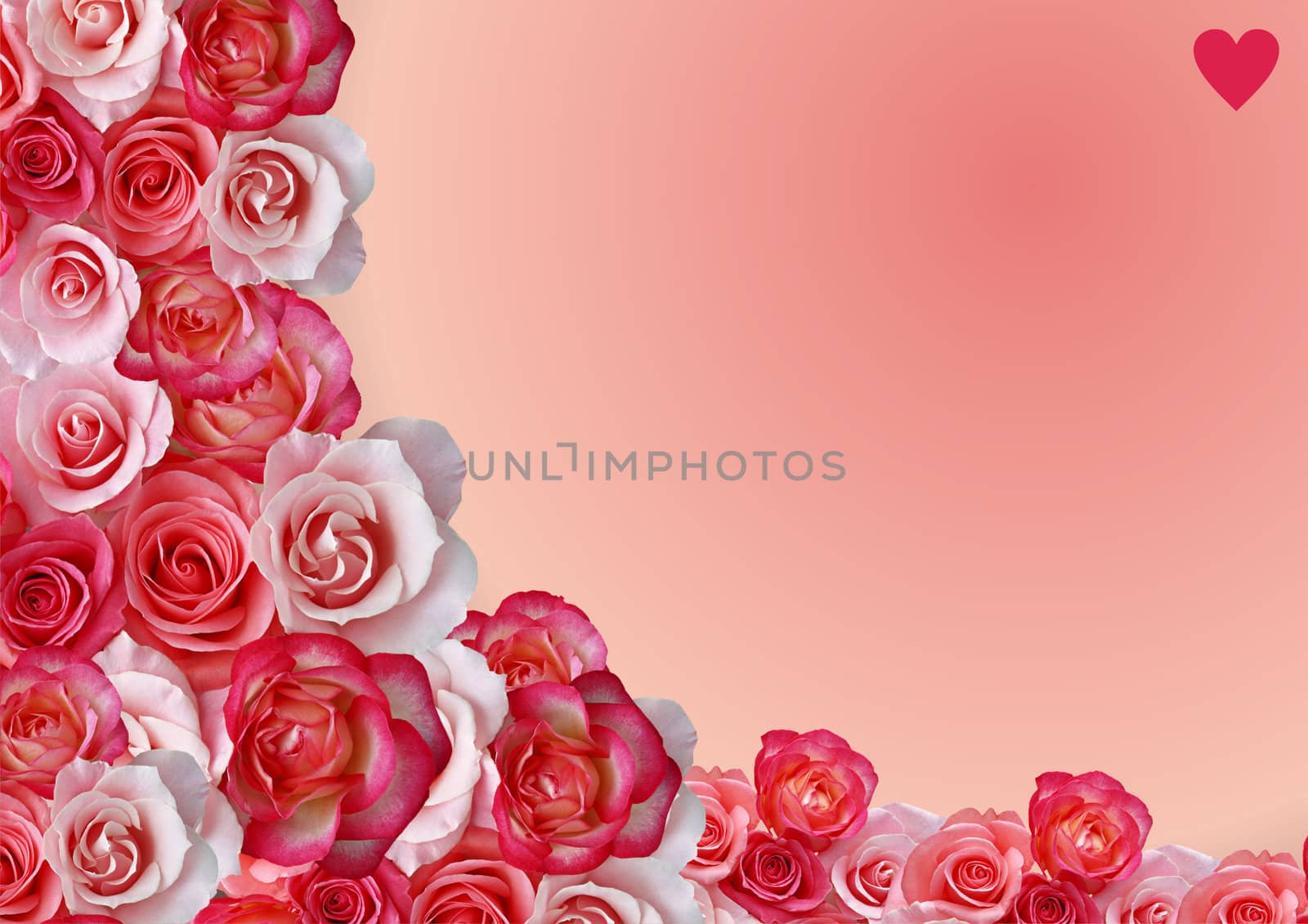 Abstract border, flowers, roses background by Kudryashka
