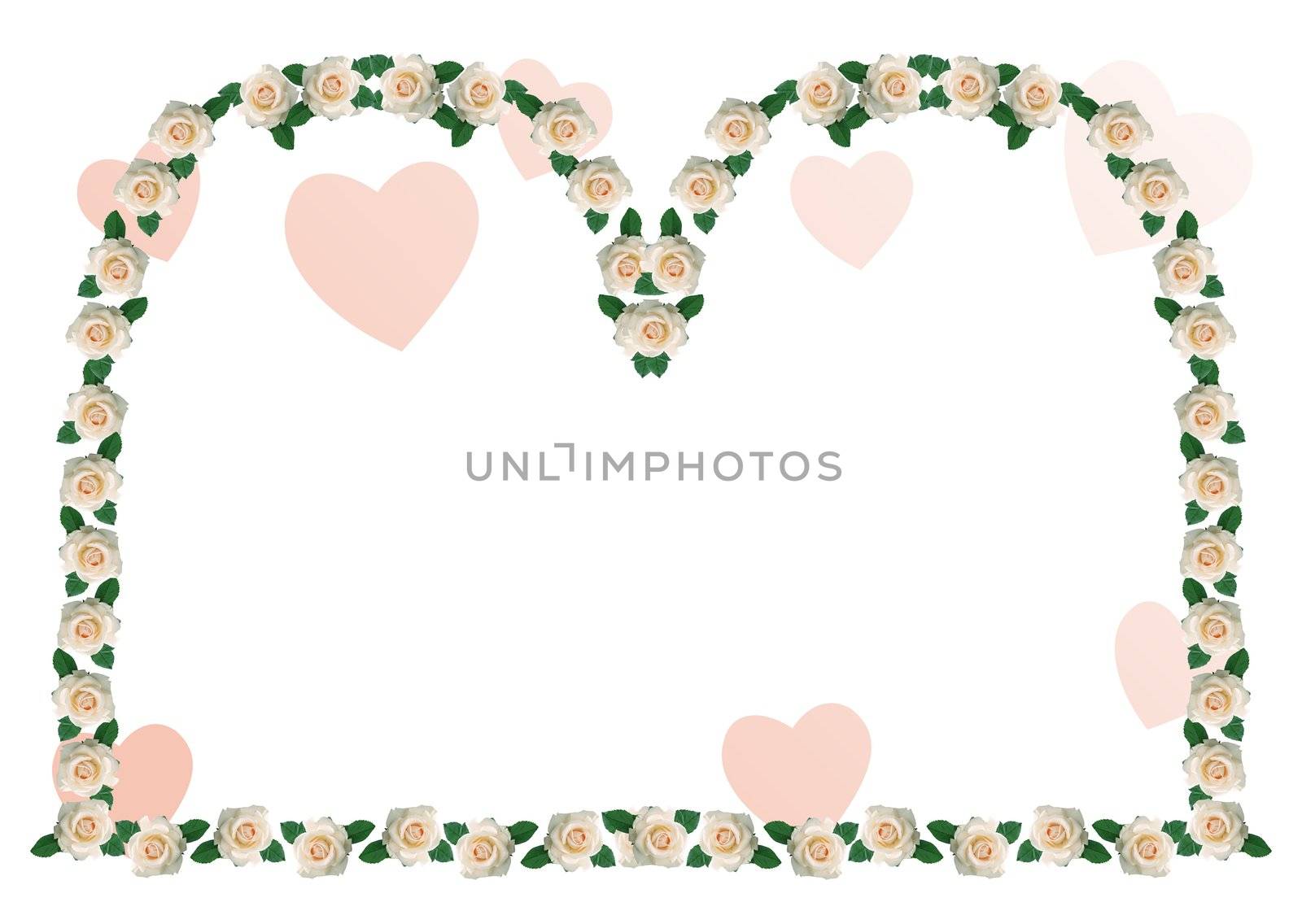 Abstract border, flowers, white background