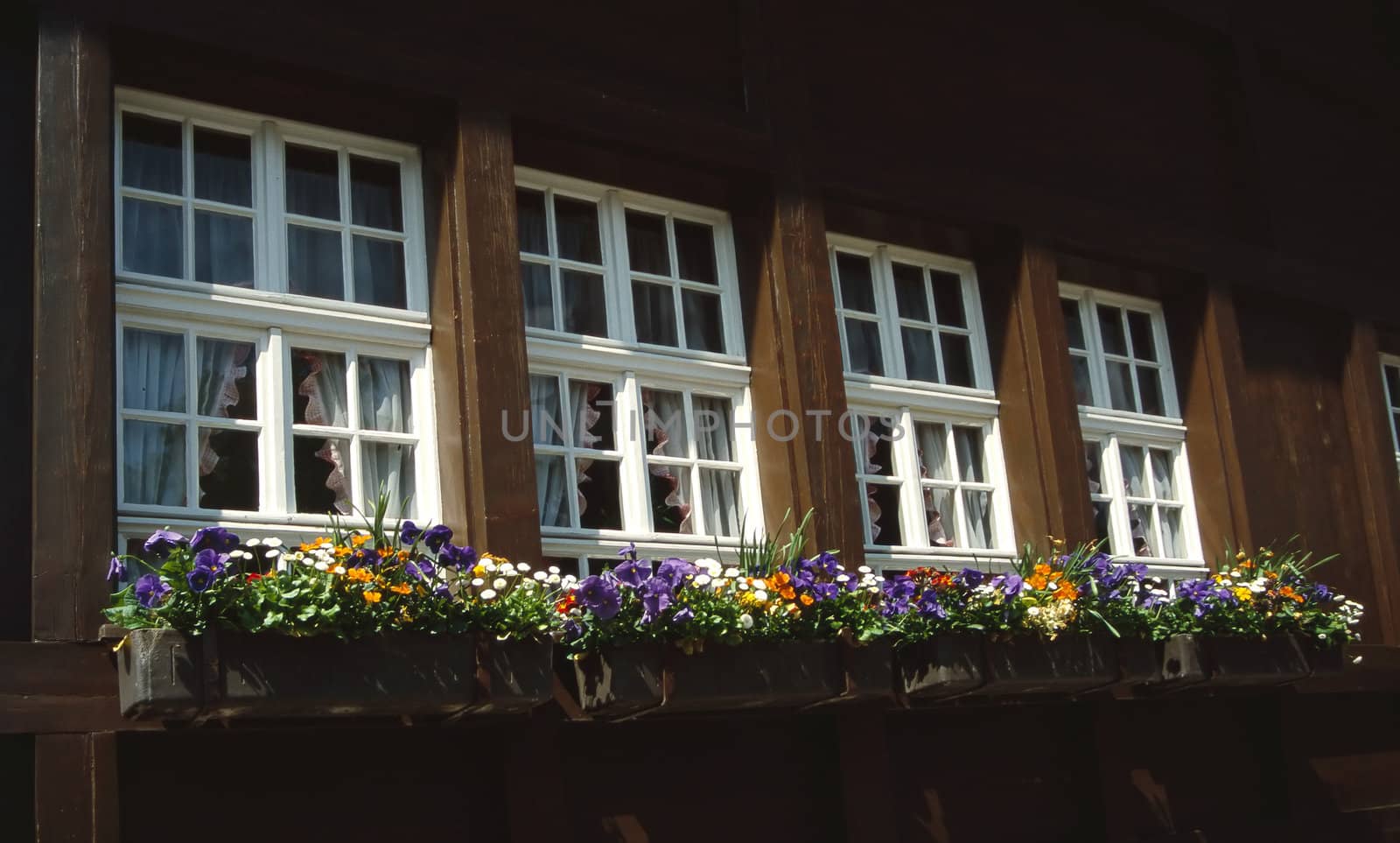 windows of an old wooden farm house with flowers