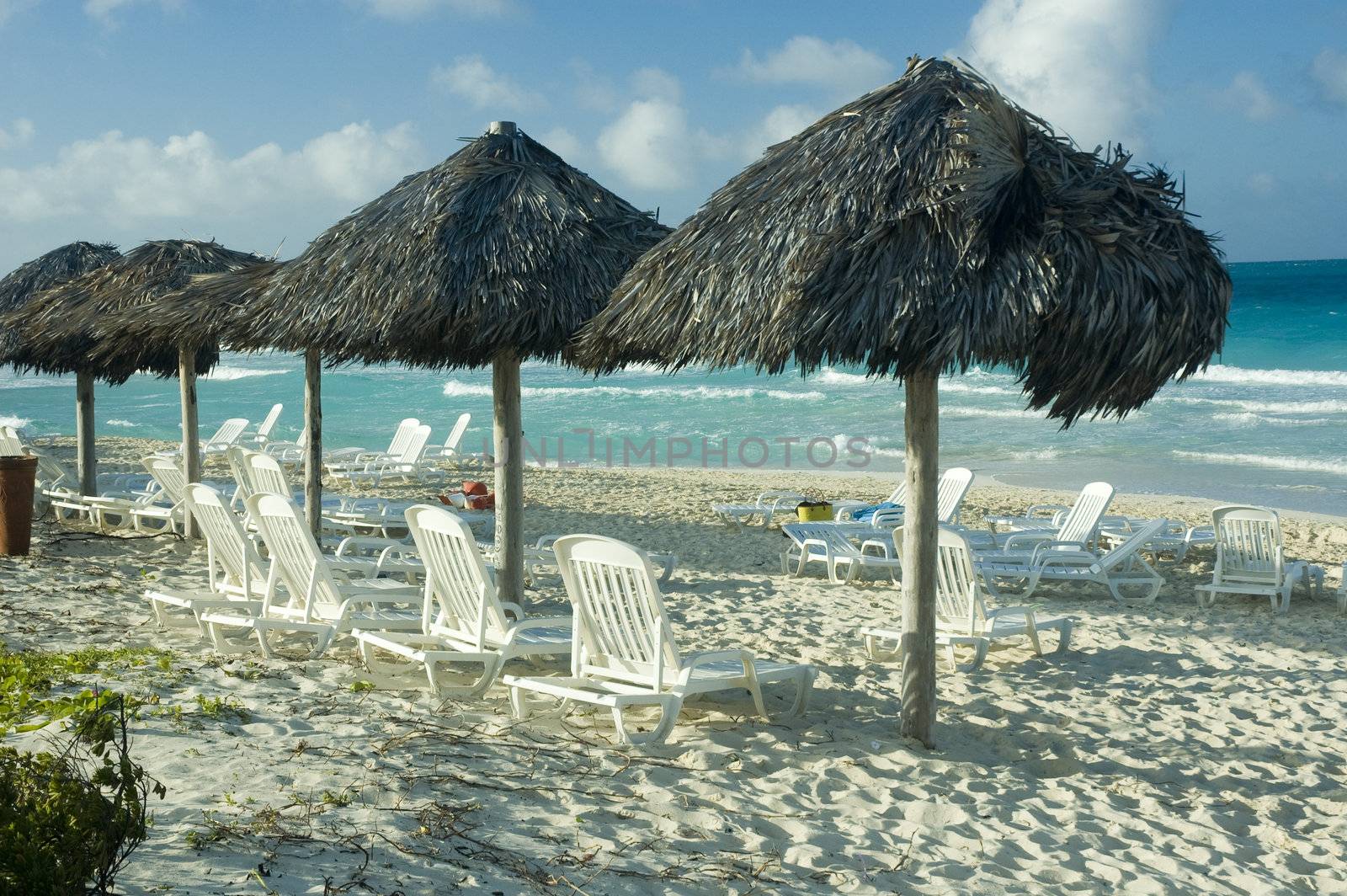 palapas and long chairs on the beach